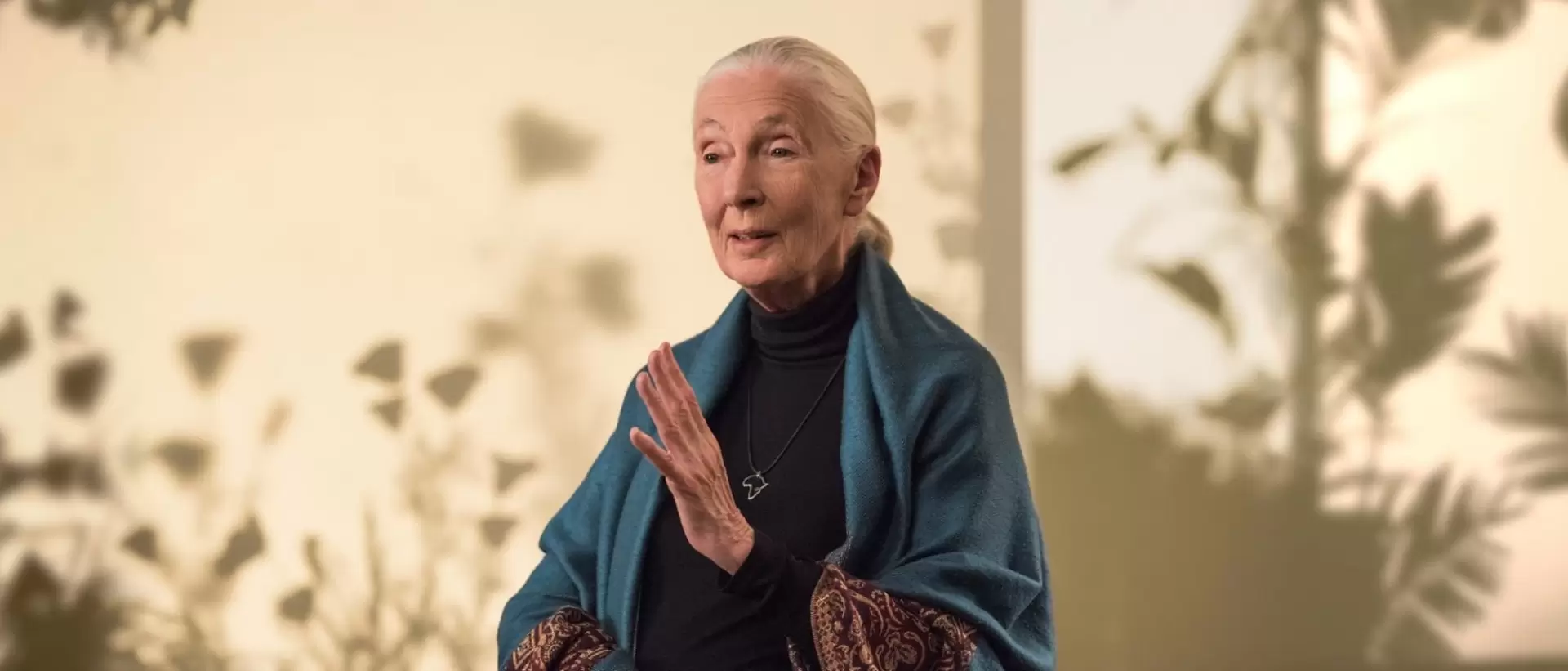 دانلود مستر‌کلاس MasterClass: Dr. Jane Goodall Teaches Conservation