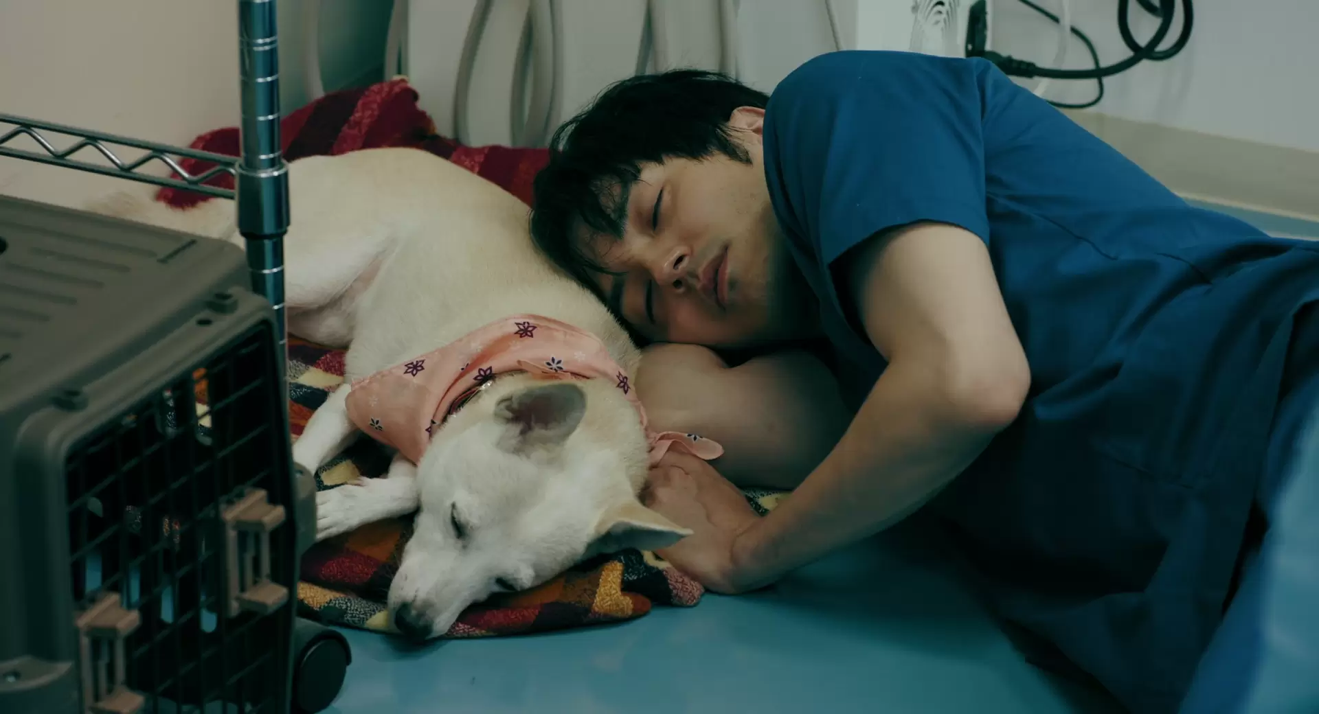 دانلود فیلم Inubu: The Dog Club 2021
