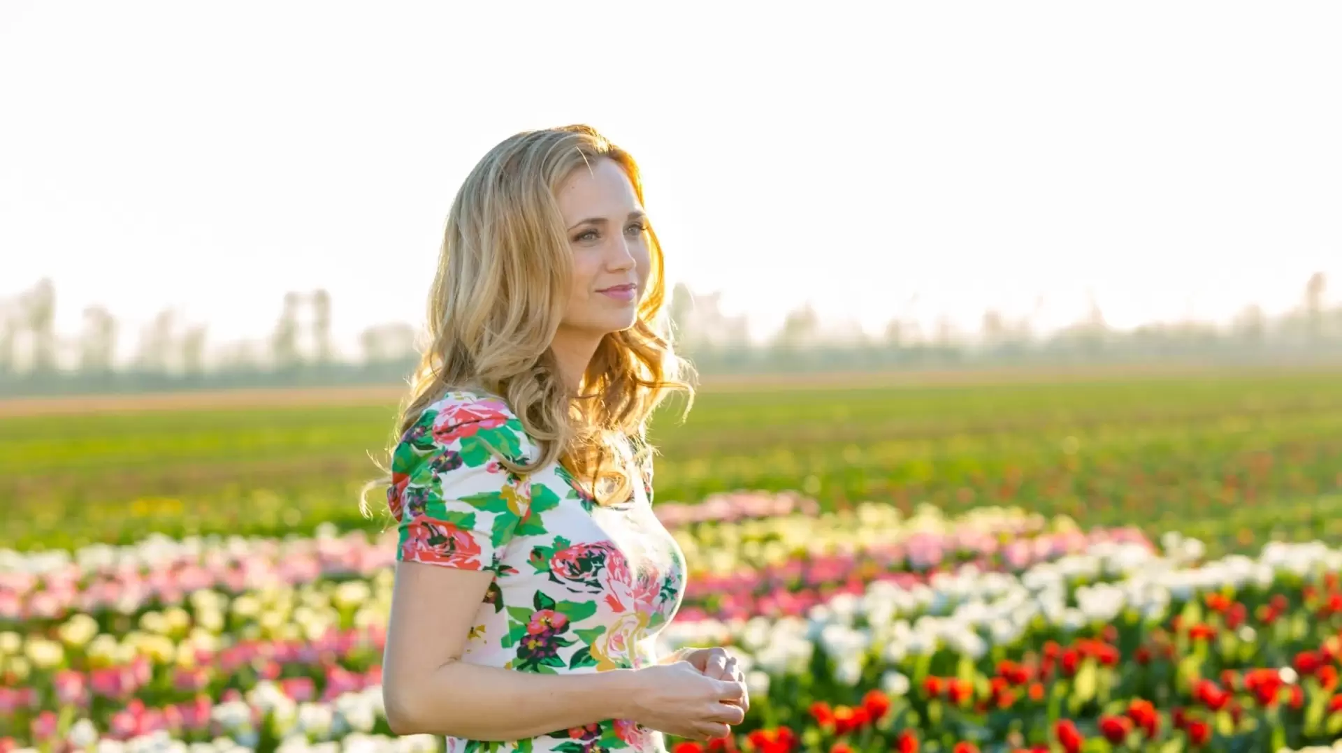 دانلود فیلم Tulips in Spring 2016