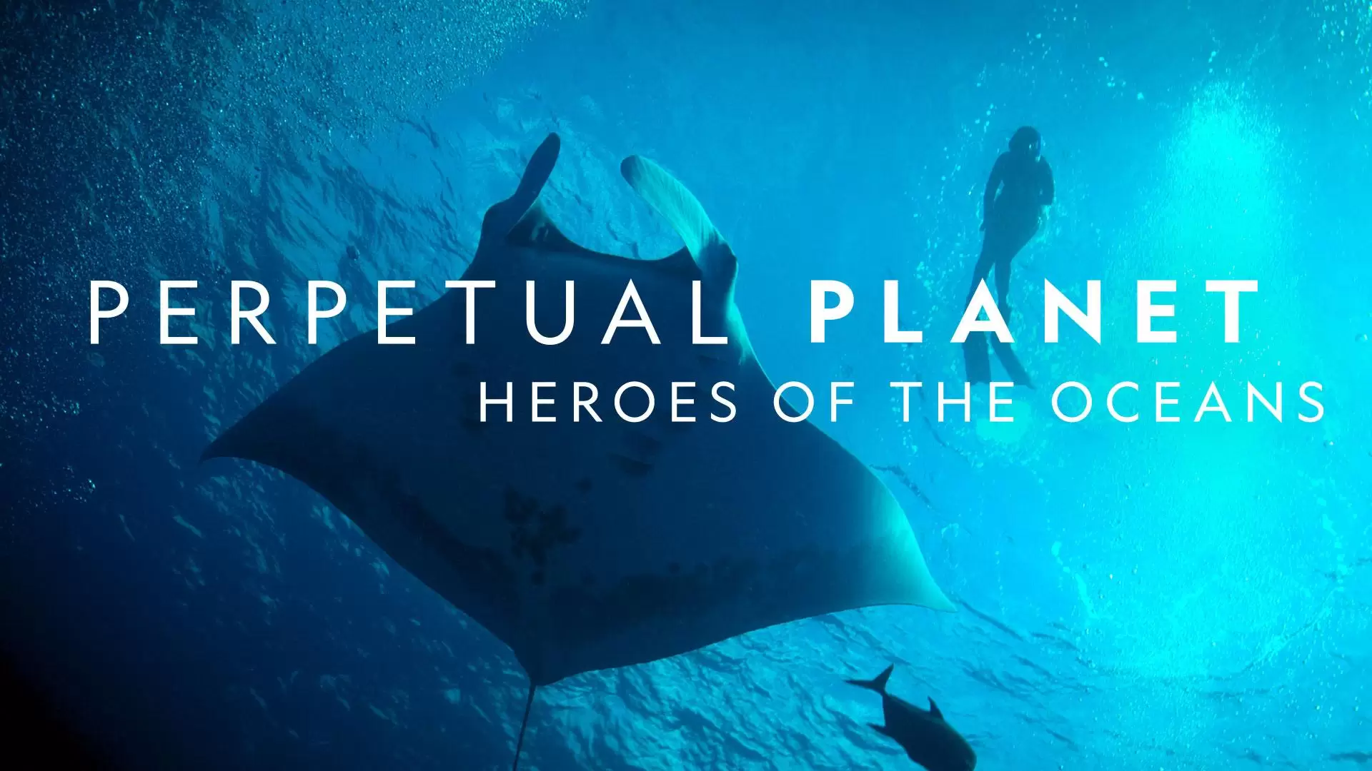 دانلود مستند Perpetual Planet: Heroes of the Oceans 2021