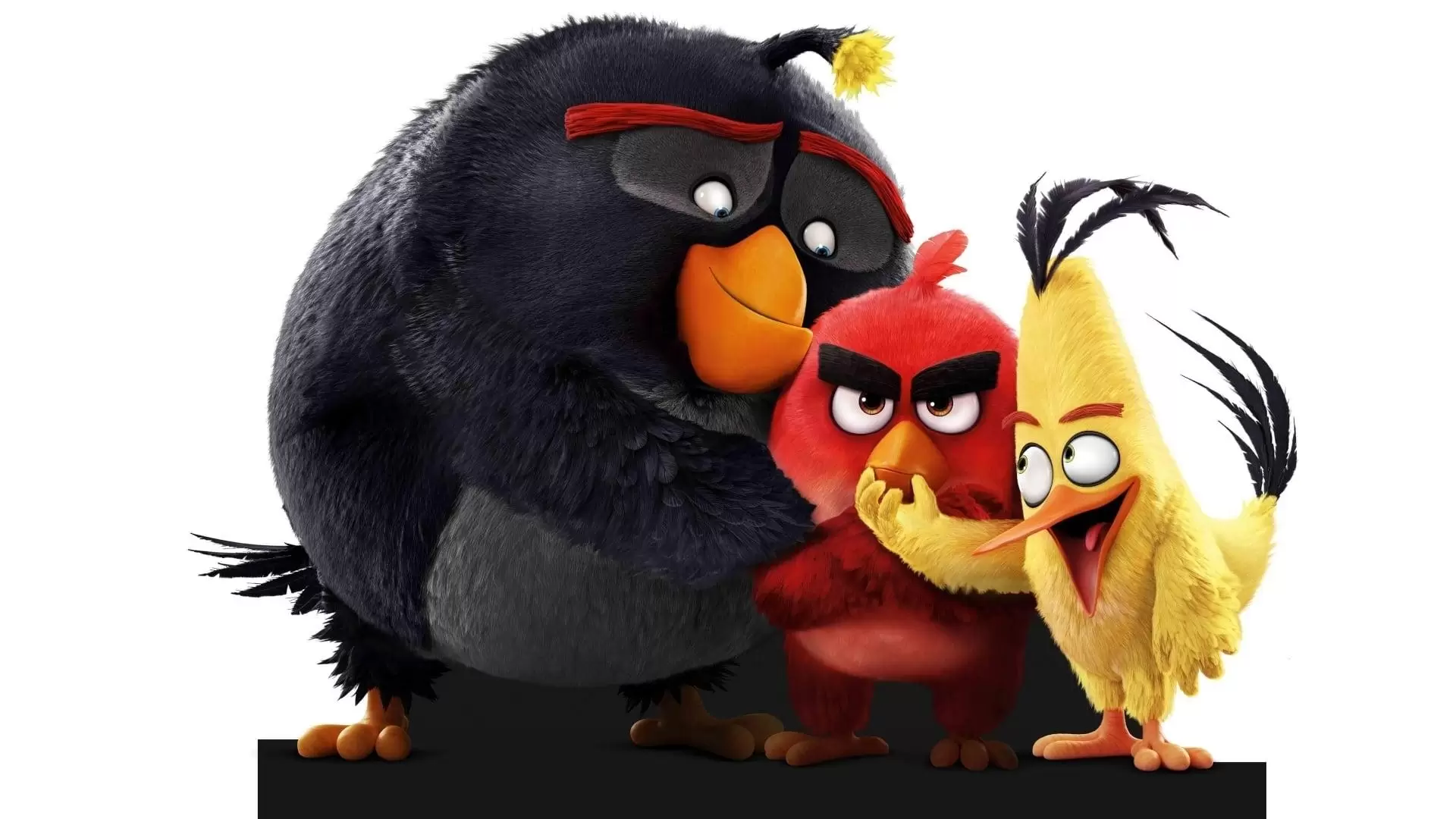 دانلود انیمیشن The Angry Birds 2016 (پرندگان خشمگین) با زیرنویس فارسی و تماشای آنلاین