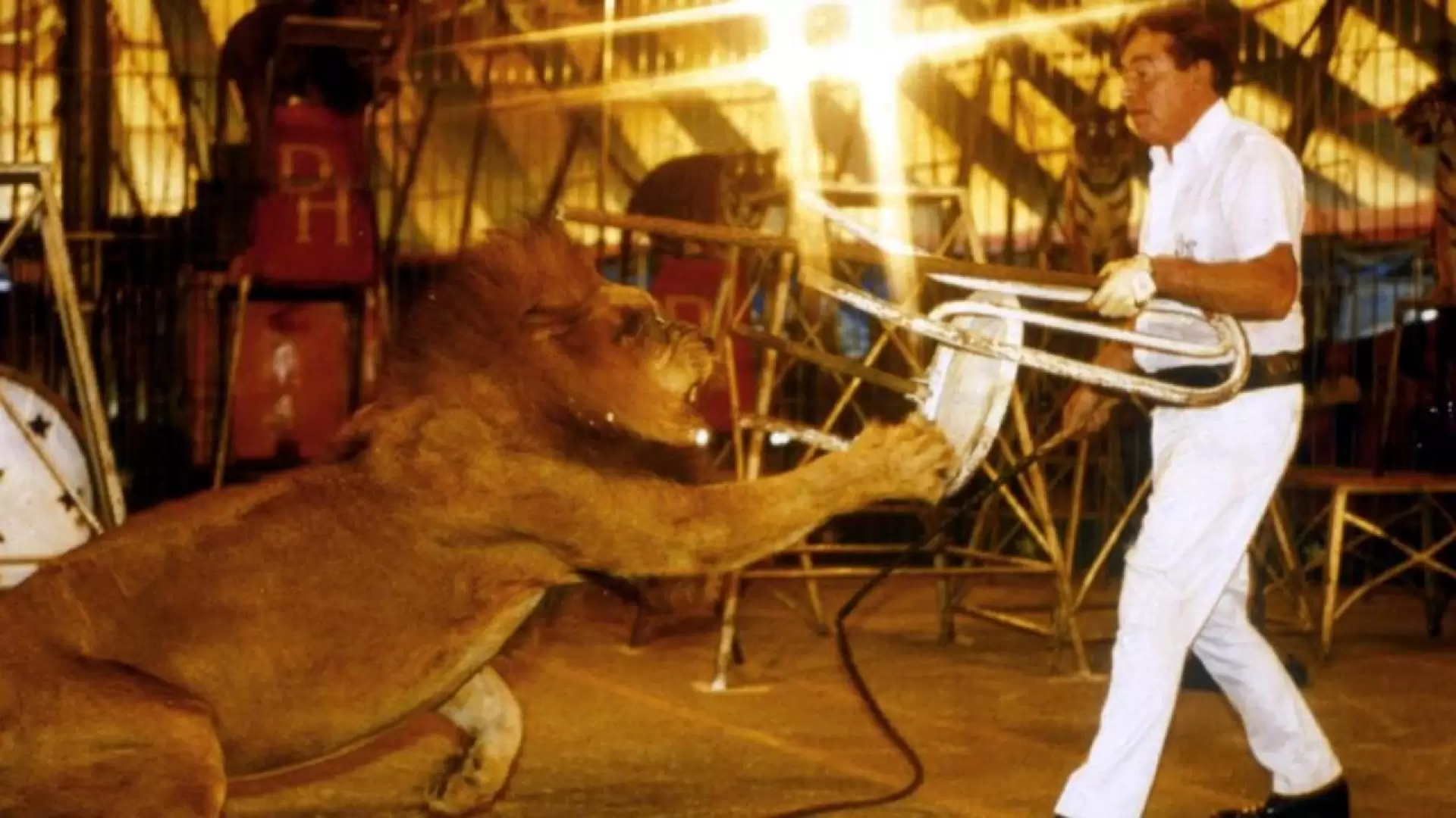دانلود مستند Fast, Cheap & Out of Control 1997