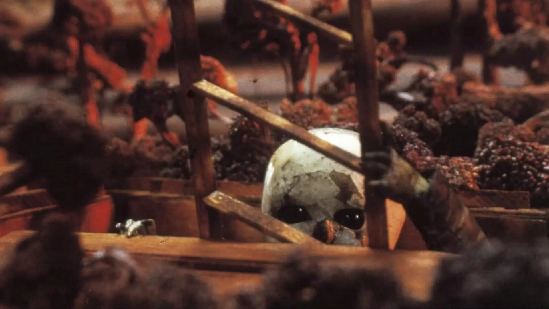 دانلود انیمیشن The Comb 1991