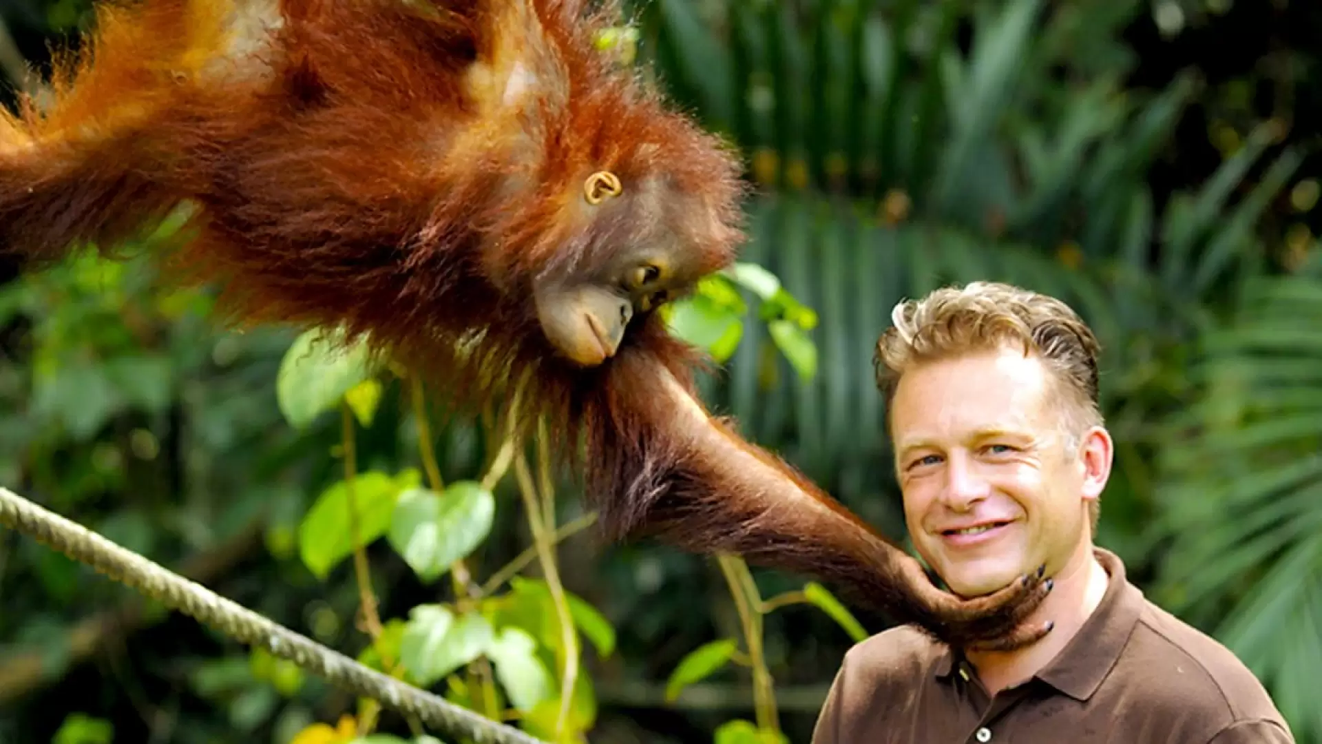 دانلود مستند Secrets of Our Living Planet 2012