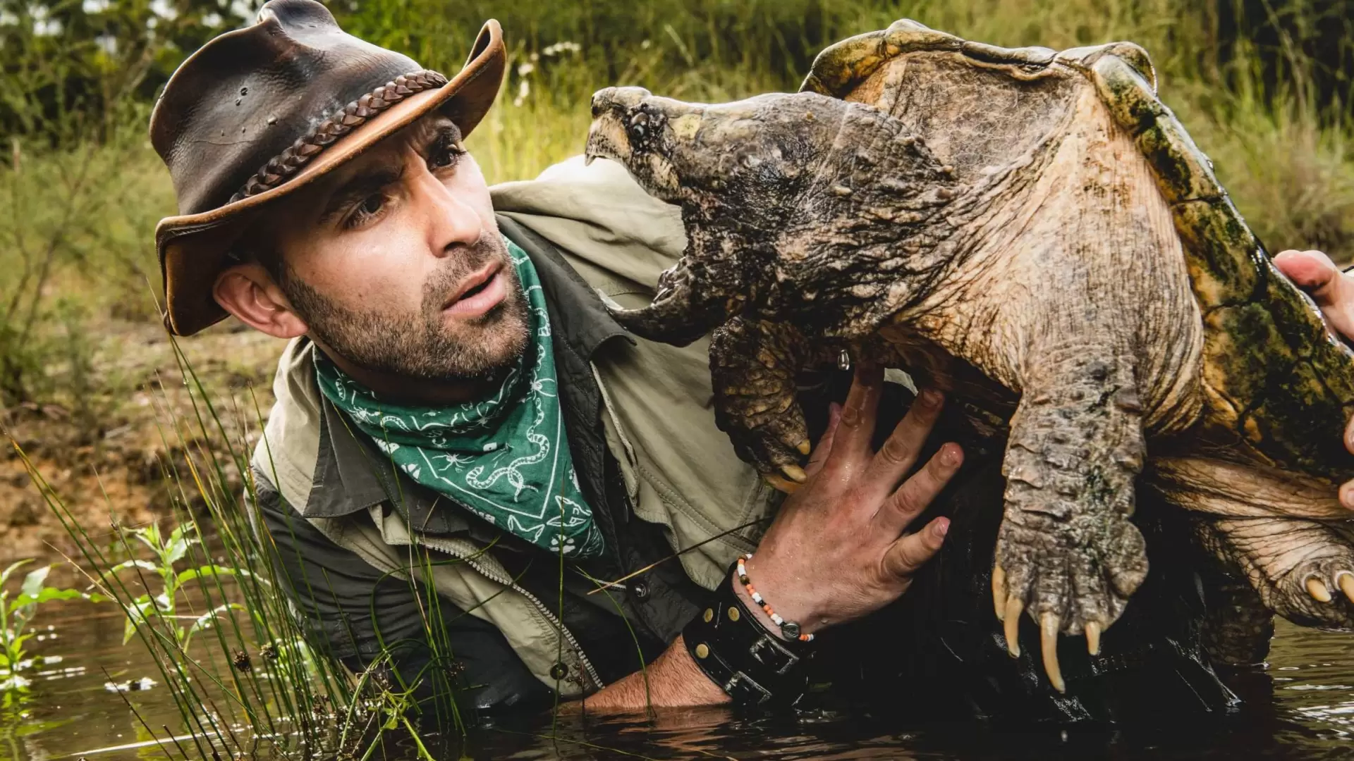 دانلود مستند Coyote Peterson: Brave the Wild 2020 با زیرنویس فارسی و تماشای آنلاین