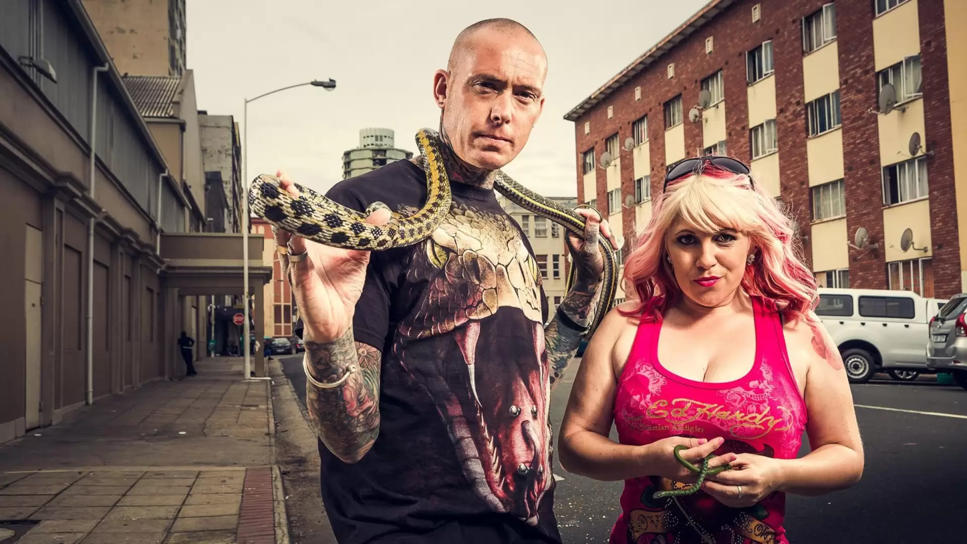دانلود مستند Snake City 2014