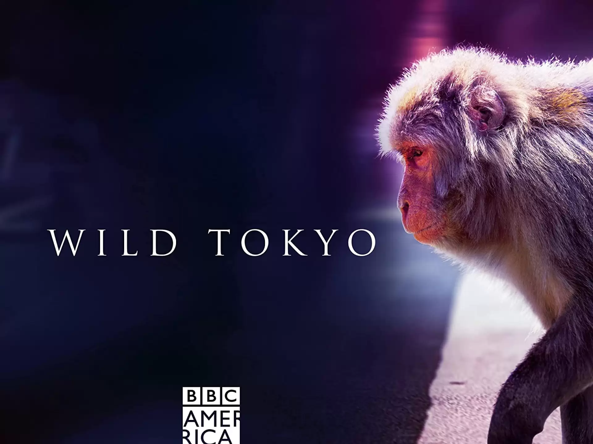 دانلود مستند Wild Tokyo 2020