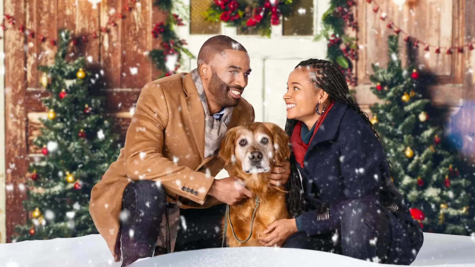 دانلود فیلم A Christmas Stray 2021