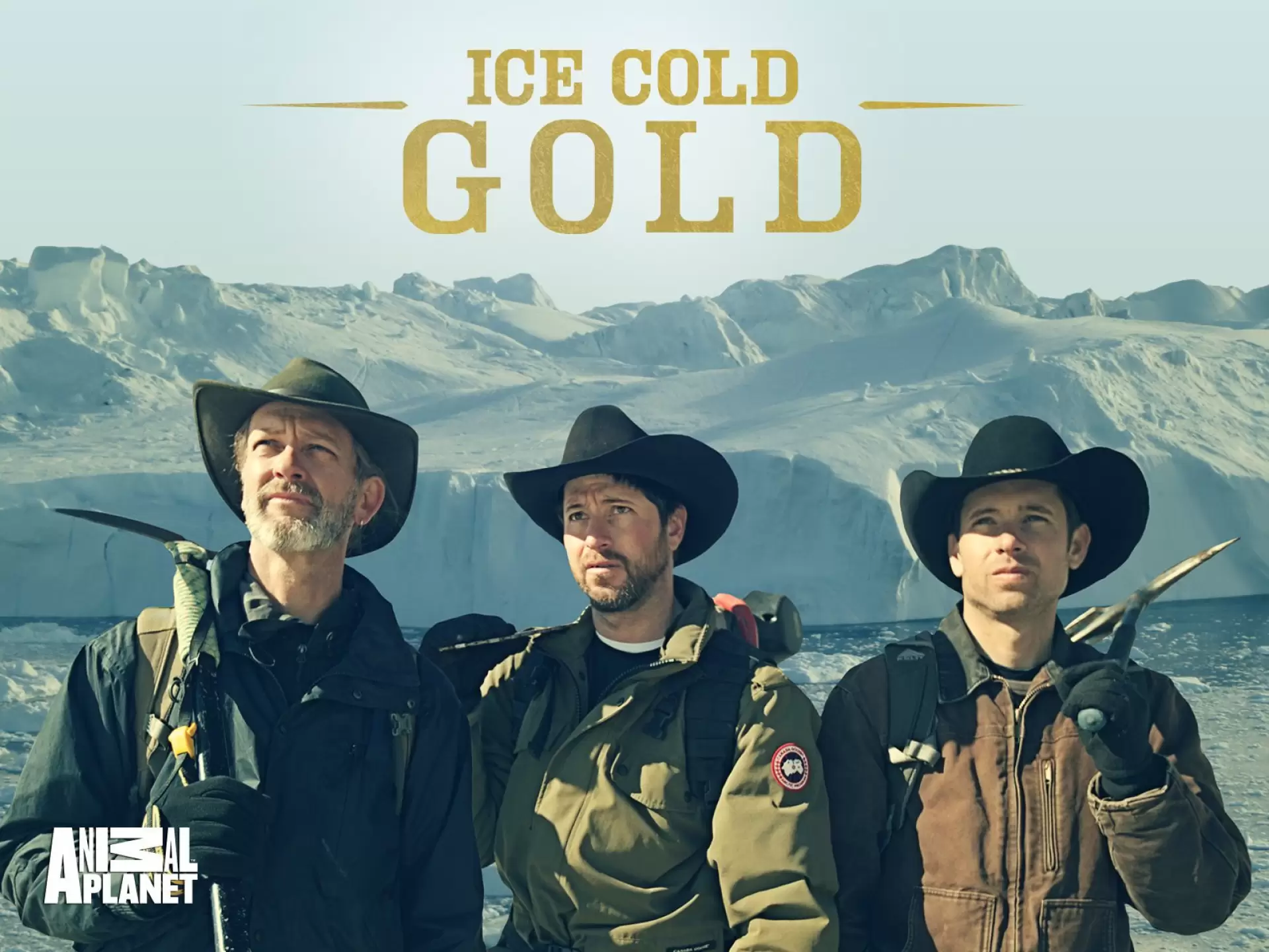 دانلود سریال Ice Cold Gold 2013