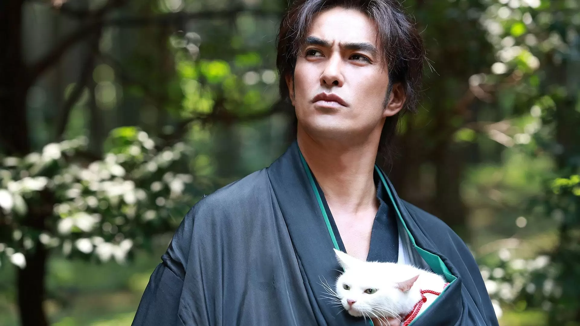دانلود سریال Samurai Cat 2013