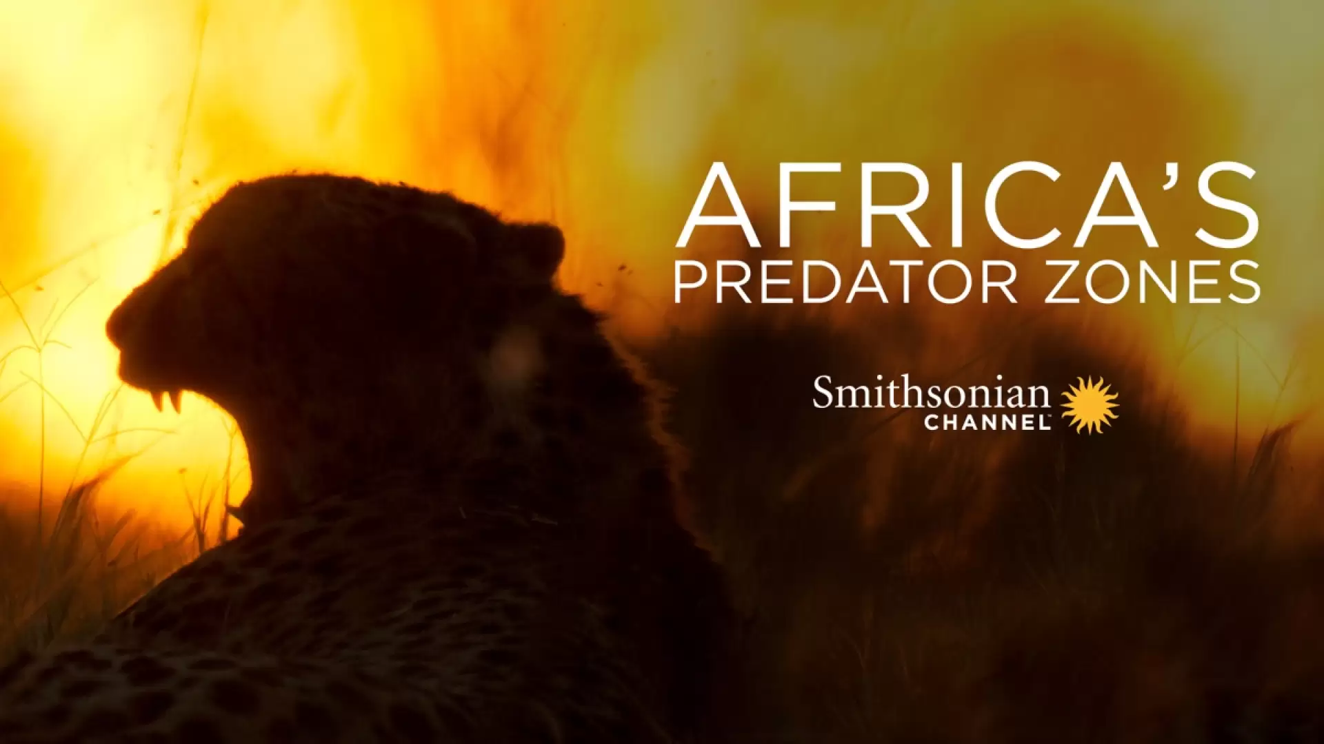 دانلود مستند Africa’s Predator Zones 2015