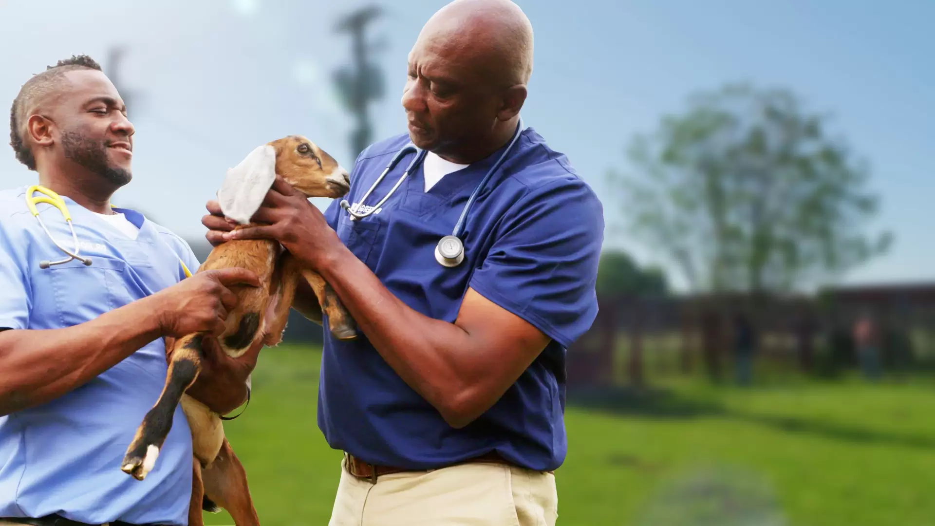 دانلود سریال Critter Fixers: Country Vets 2020