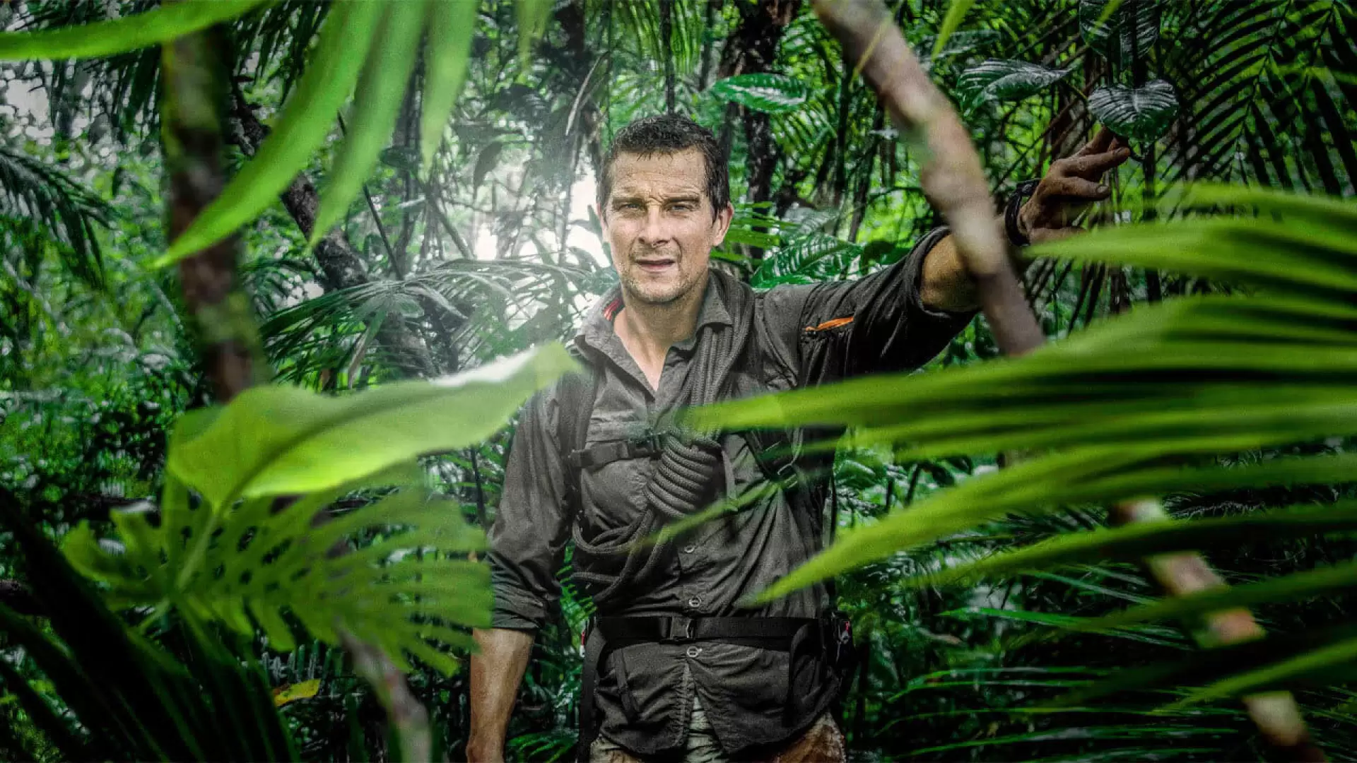 دانلود سریال The Island with Bear Grylls 2014