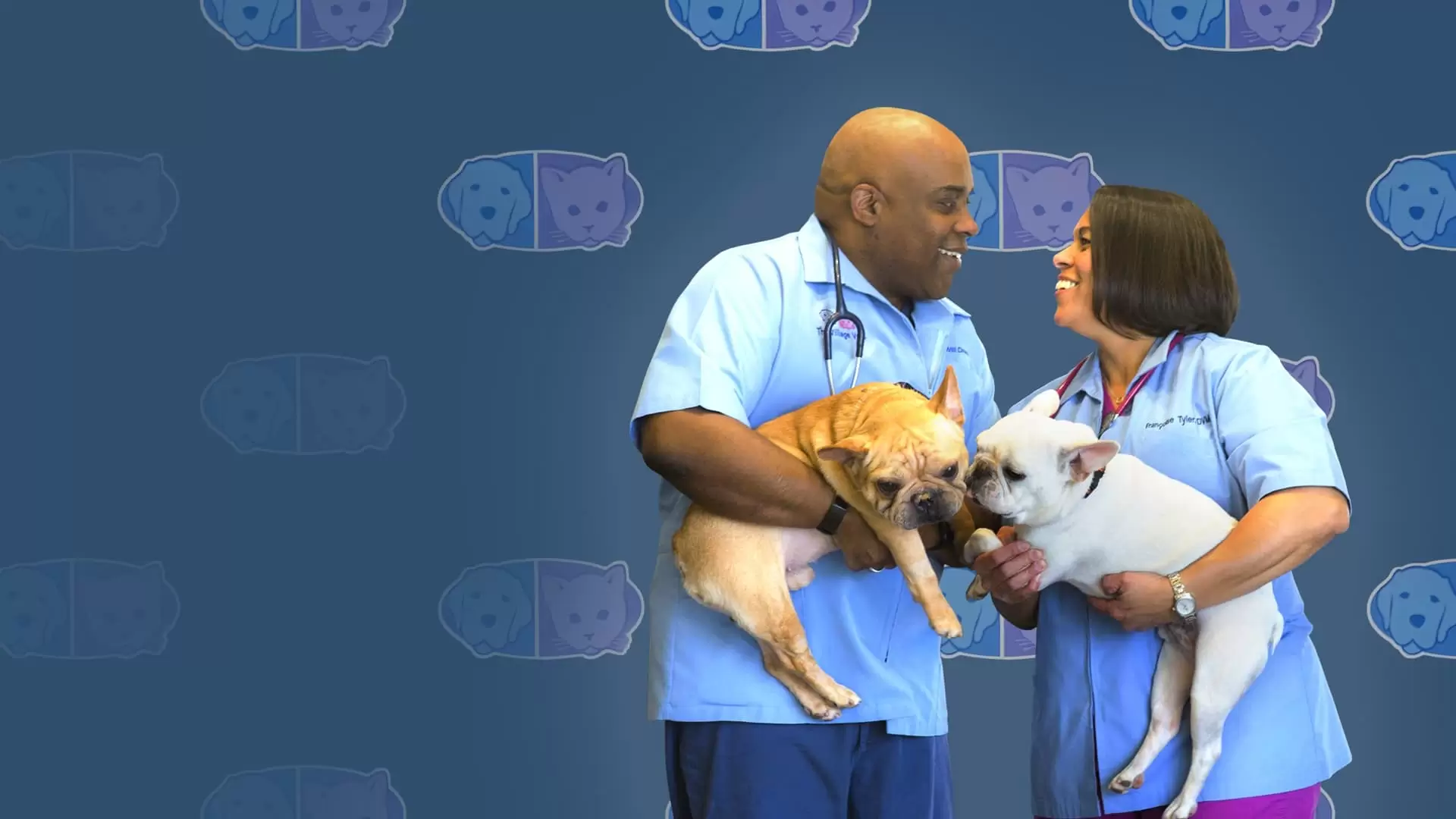 دانلود مینی سریال Love and Vets 2017