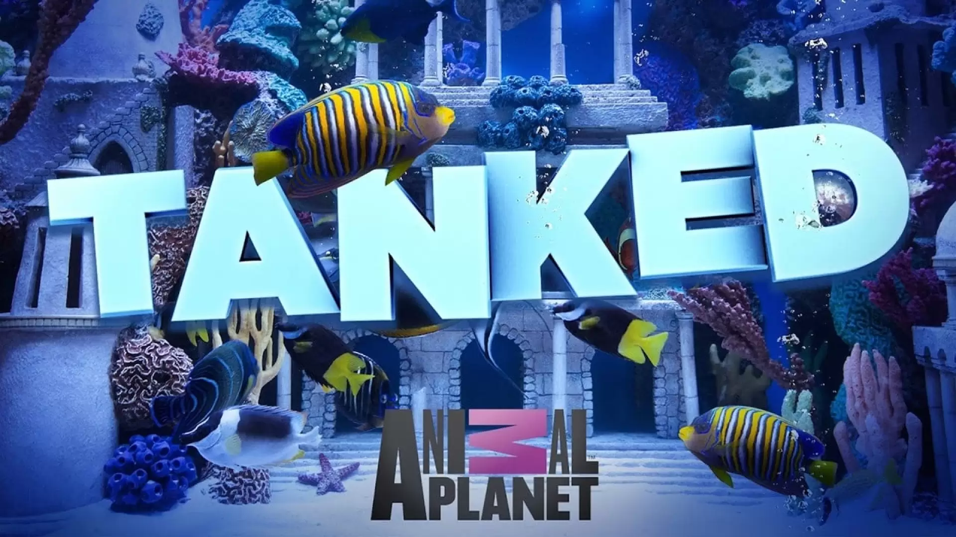 دانلود سریال Tanked 2011