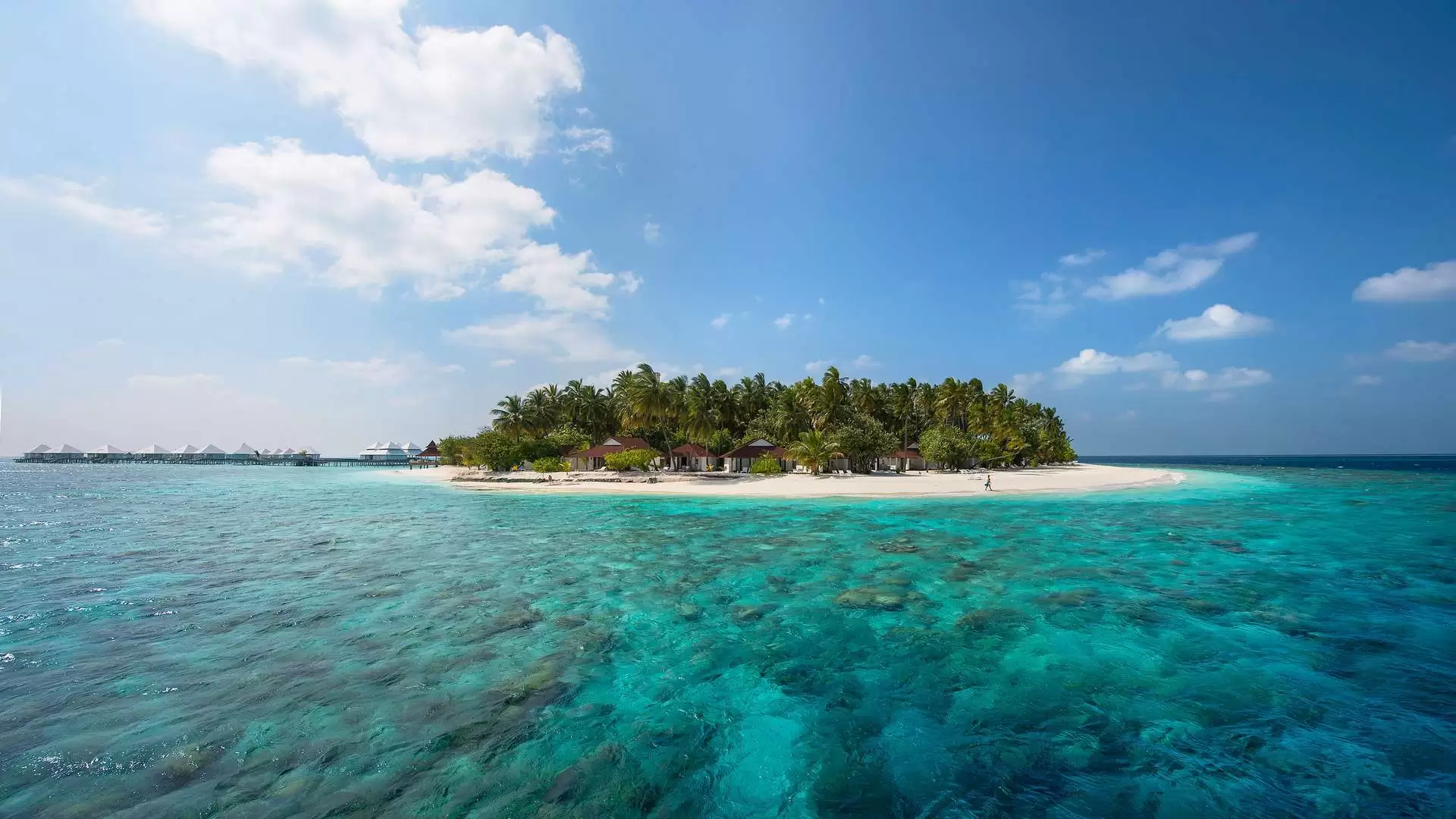 دانلود مستند Scattering Diamonds Maldives 2009