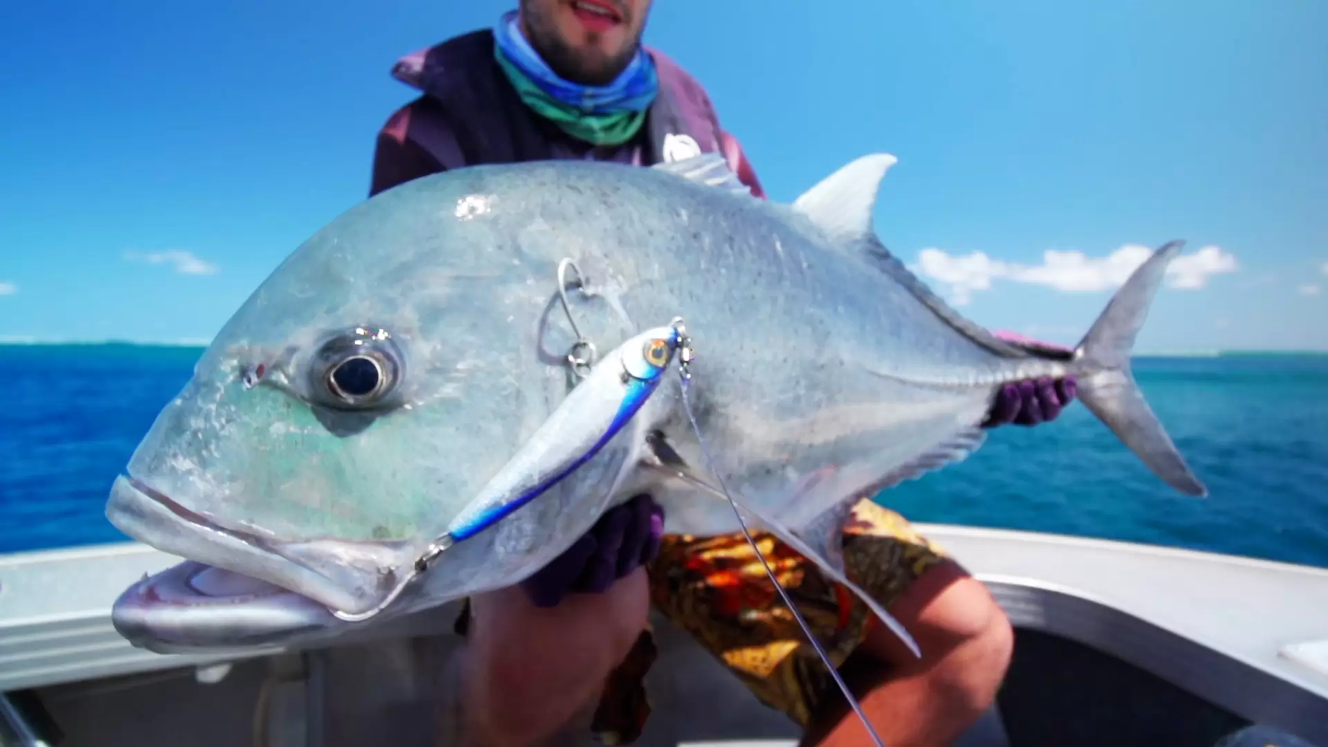 دانلود مستند Big Fish Big Adventure 2020