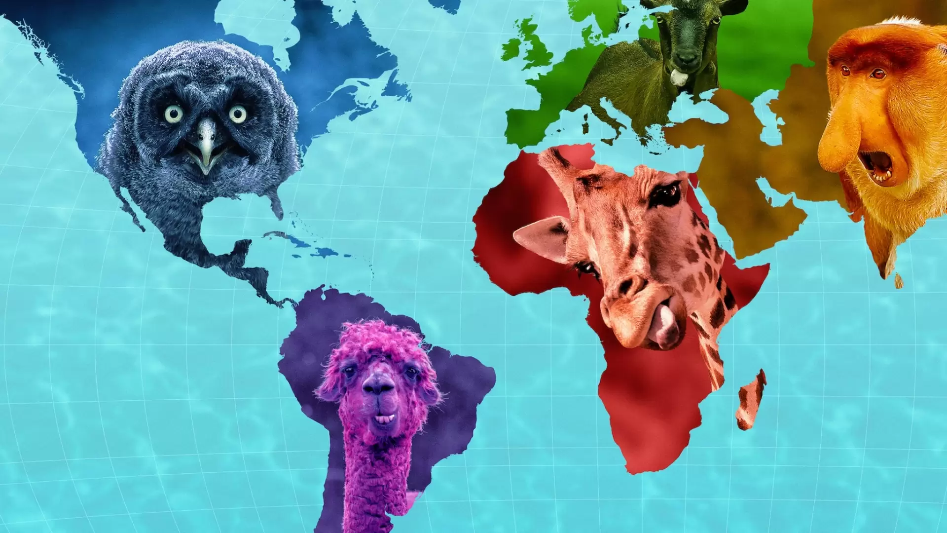 دانلود مستند Absurd Planet 2020