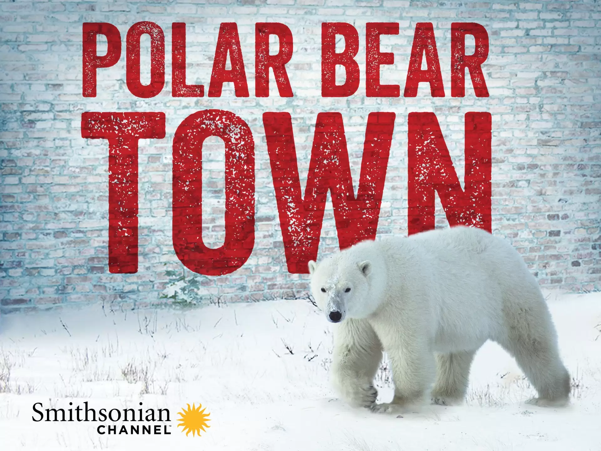 دانلود سریال Polar Bear Town 2015