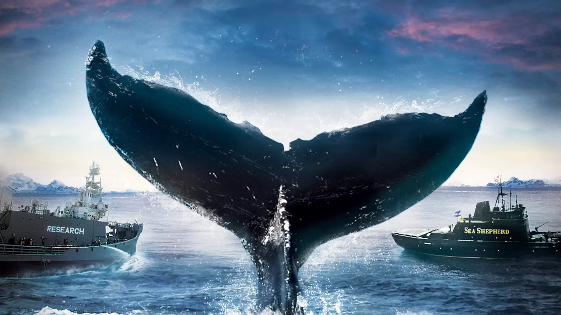 دانلود مستند Whale Wars 2008