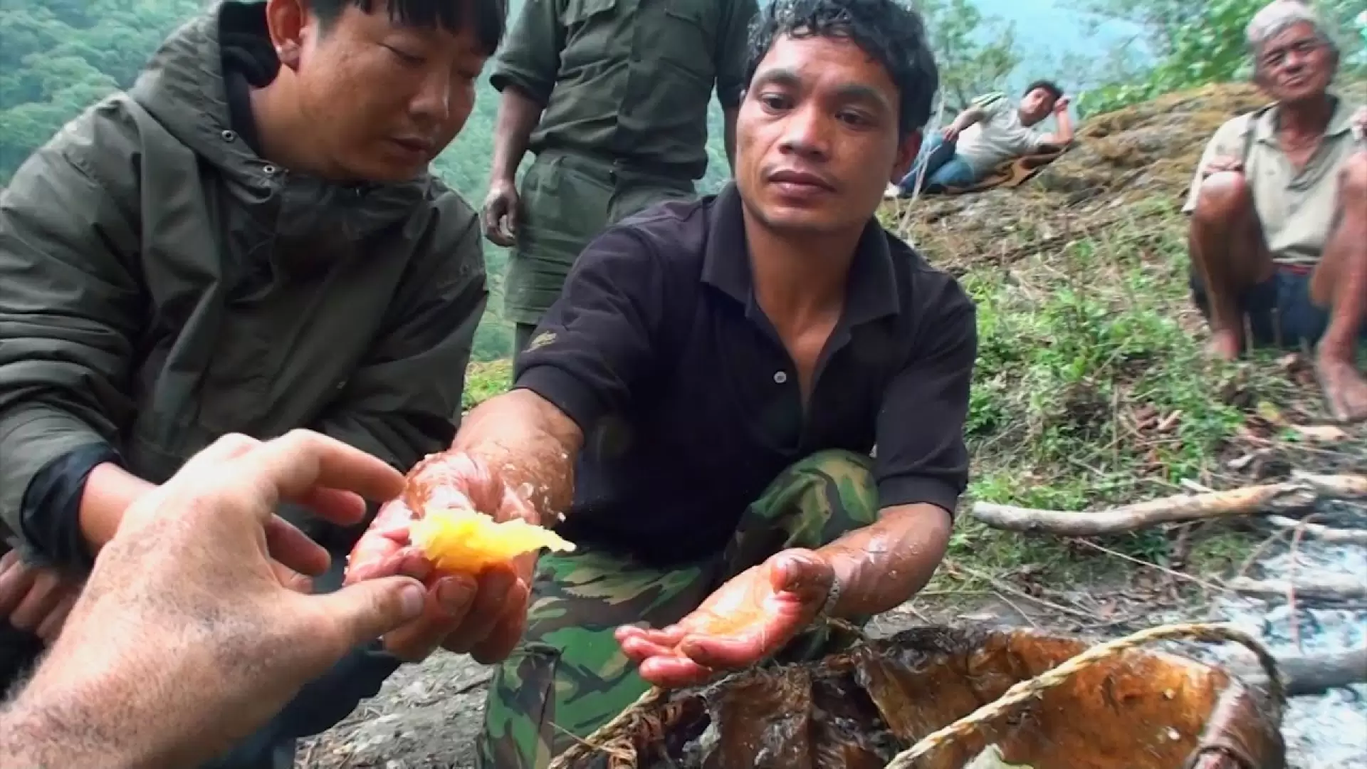 دانلود مستند Honey Hunters 2016