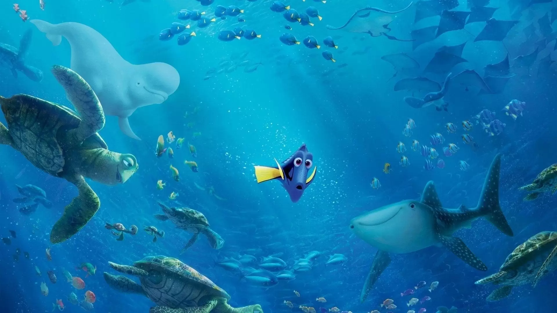 دانلود انیمیشن Finding Dory 2016 (در جستجوی دوری) با زیرنویس فارسی و تماشای آنلاین