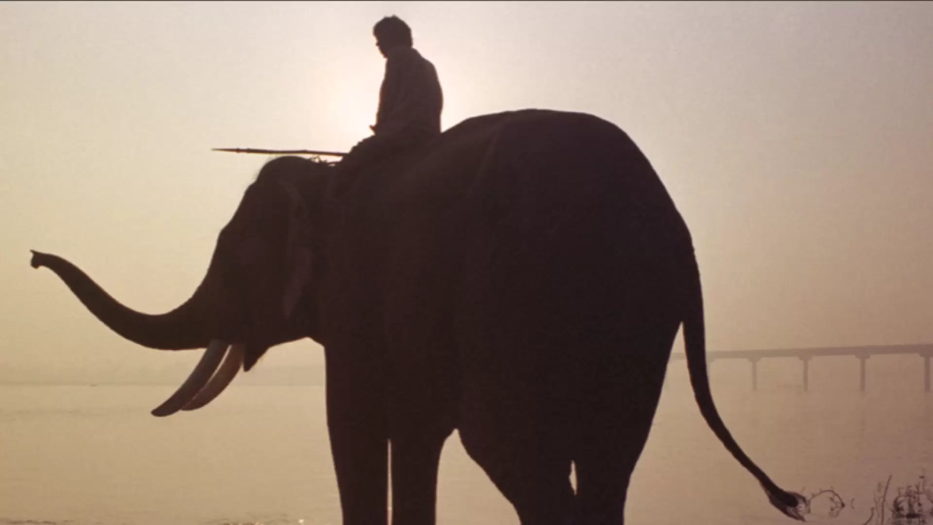 دانلود فیلم Hathi 1998