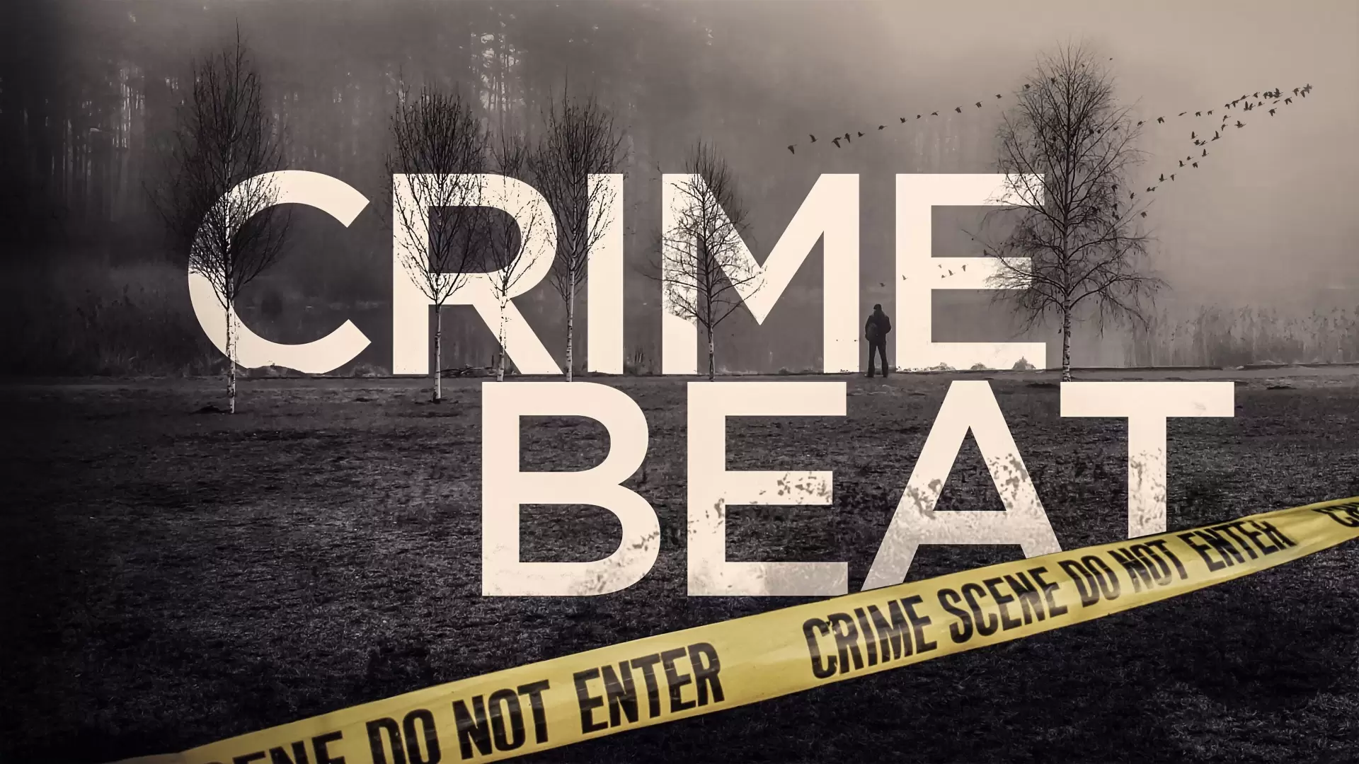 دانلود سریال Crime Beat 2020