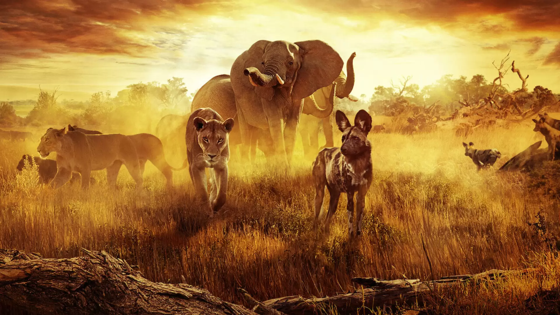 دانلود مستند Surviving Paradise: A Family Tale 2022 با تماشای آنلاین