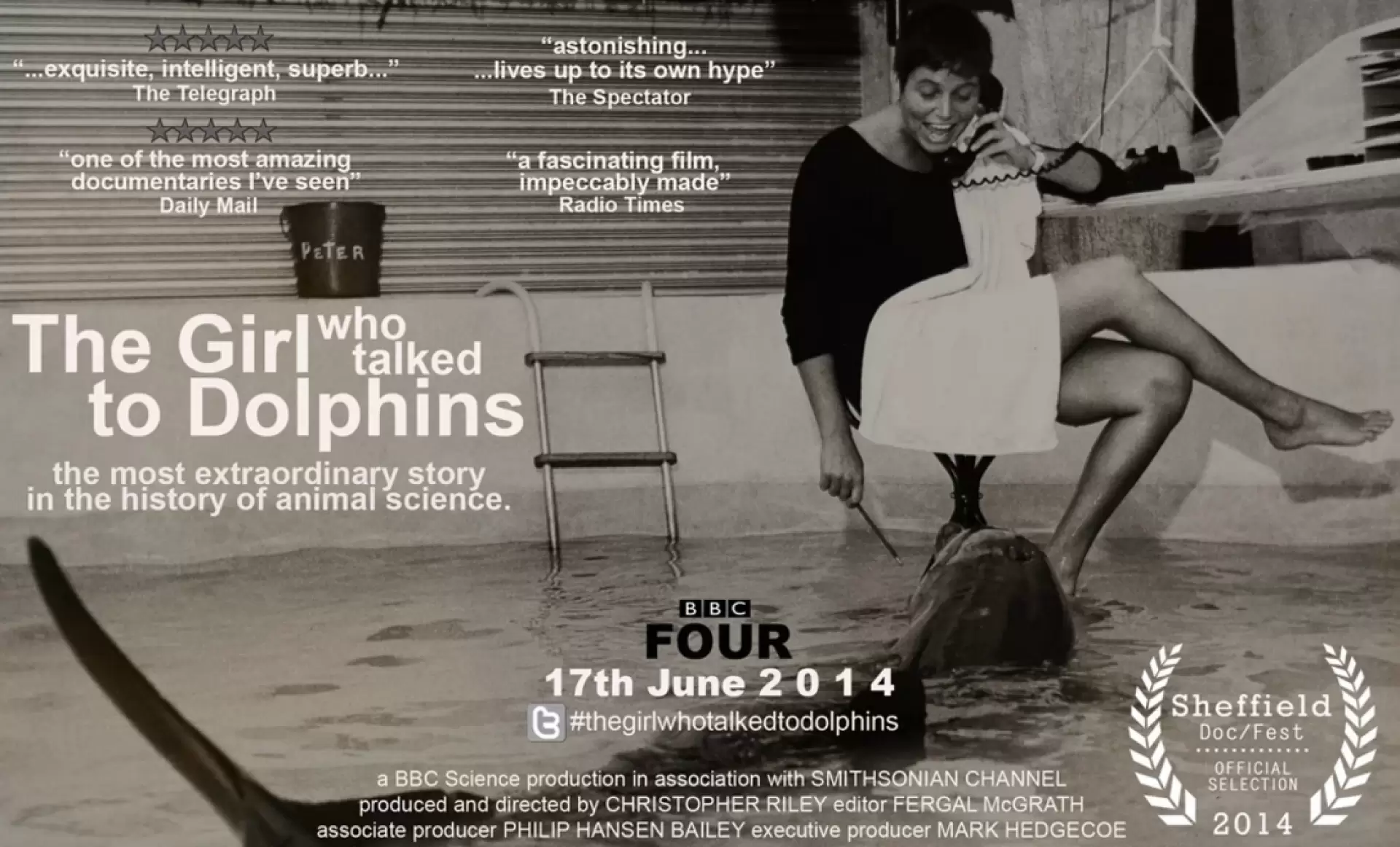 دانلود مستند The Girl Who Talked to Dolphins 2014 (دختری که با دلفین ها حرف می زد)