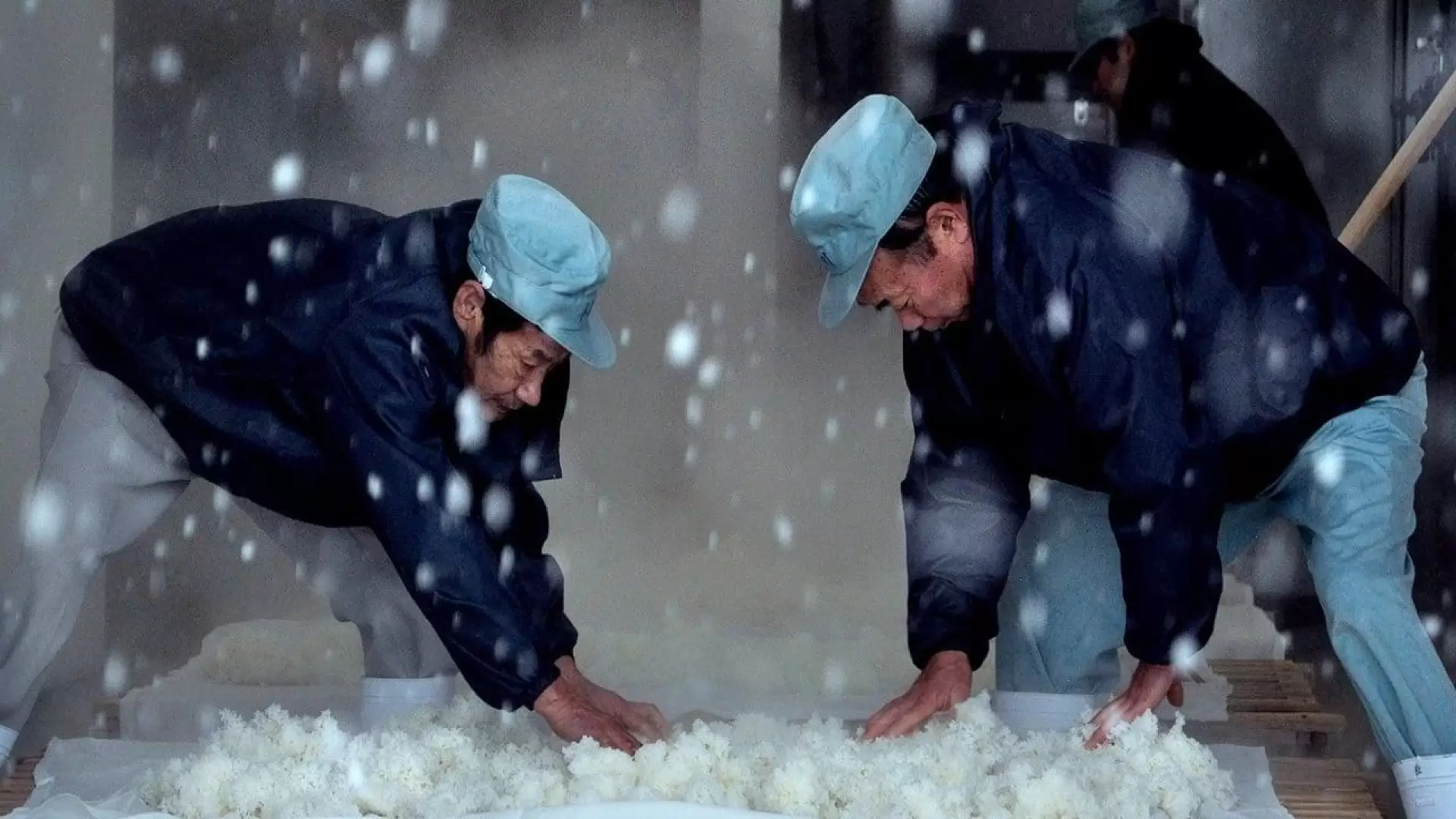 دانلود مستند The Birth of Sake 2015 (تولد ساکه)