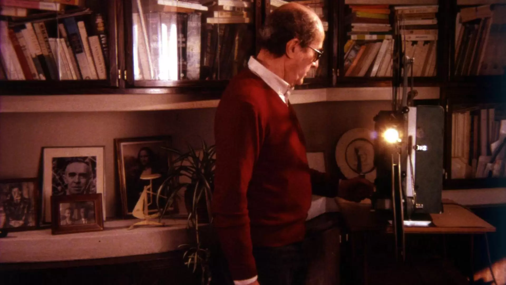 دانلود فیلم Visit, or Memories and Confessions 1993