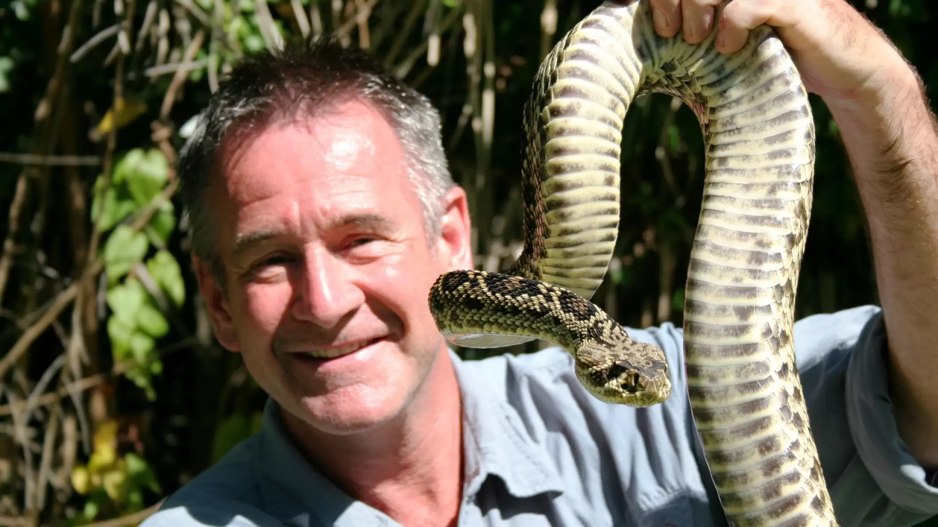 دانلود مستند Ten Deadliest Snakes with Nigel Marven 2014