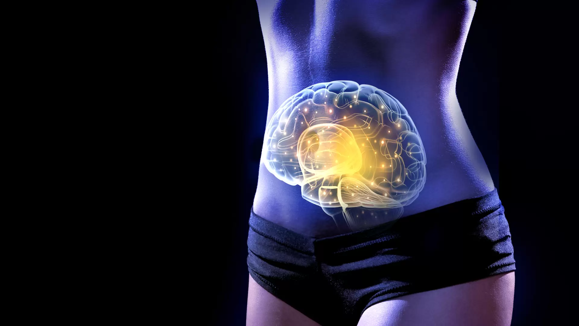 دانلود مستند The Gut: Our Second Brain 2014