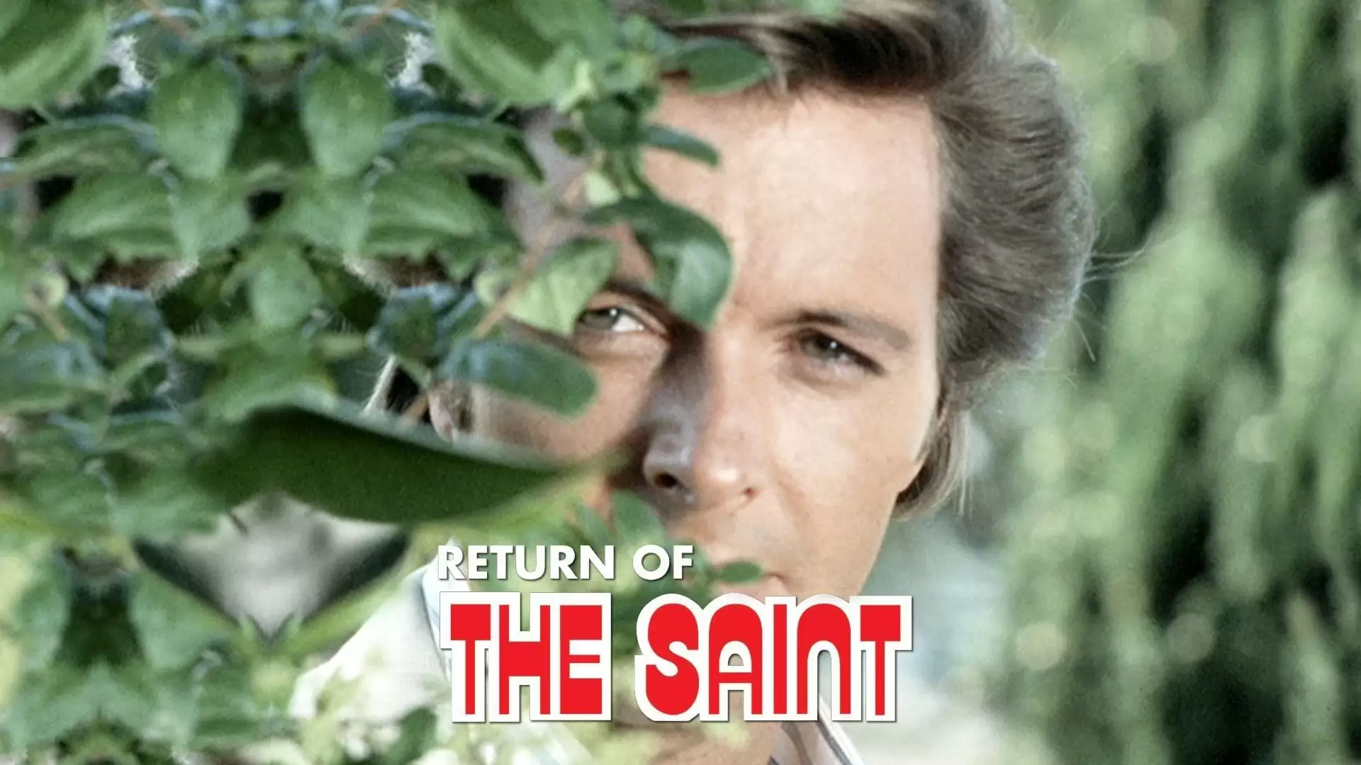 دانلود سریال Return of the Saint 1978