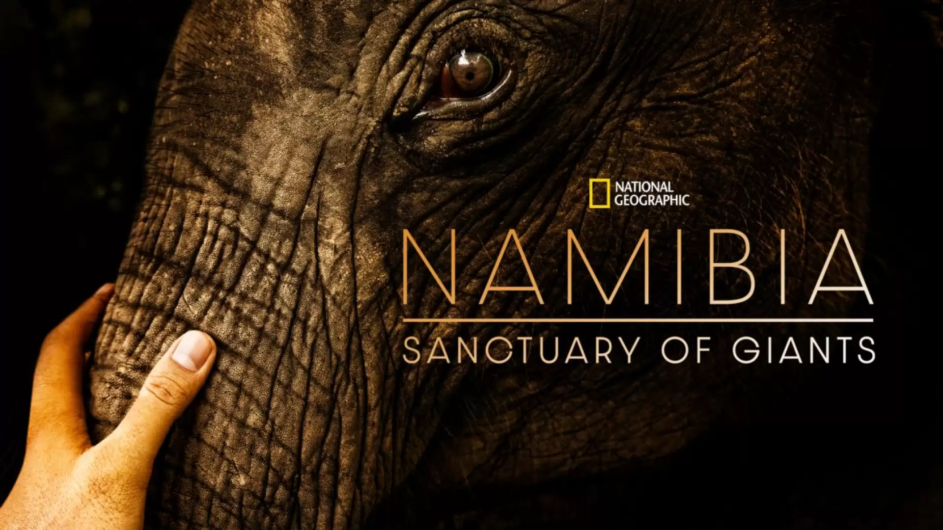 دانلود مستند Namibia, Sanctuary of Giants 2016