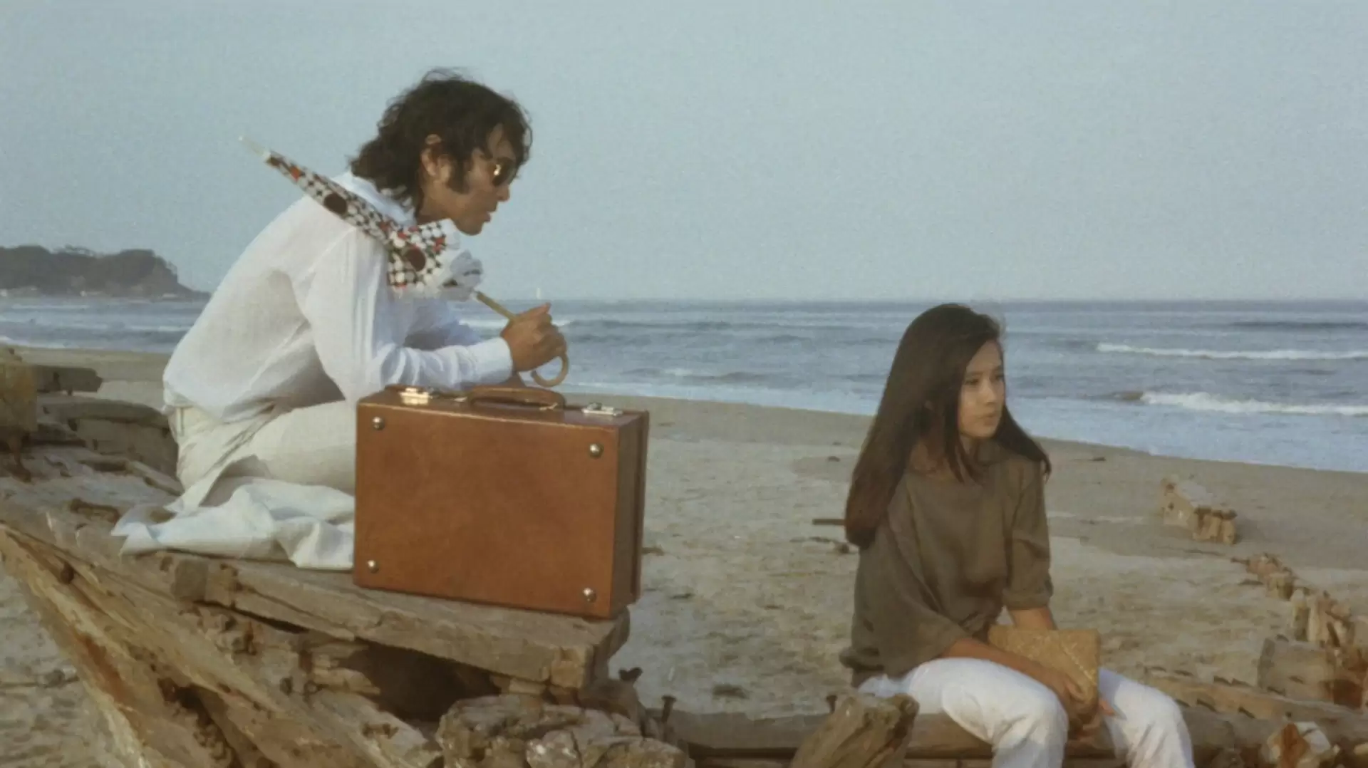 دانلود فیلم Lost Love 1978