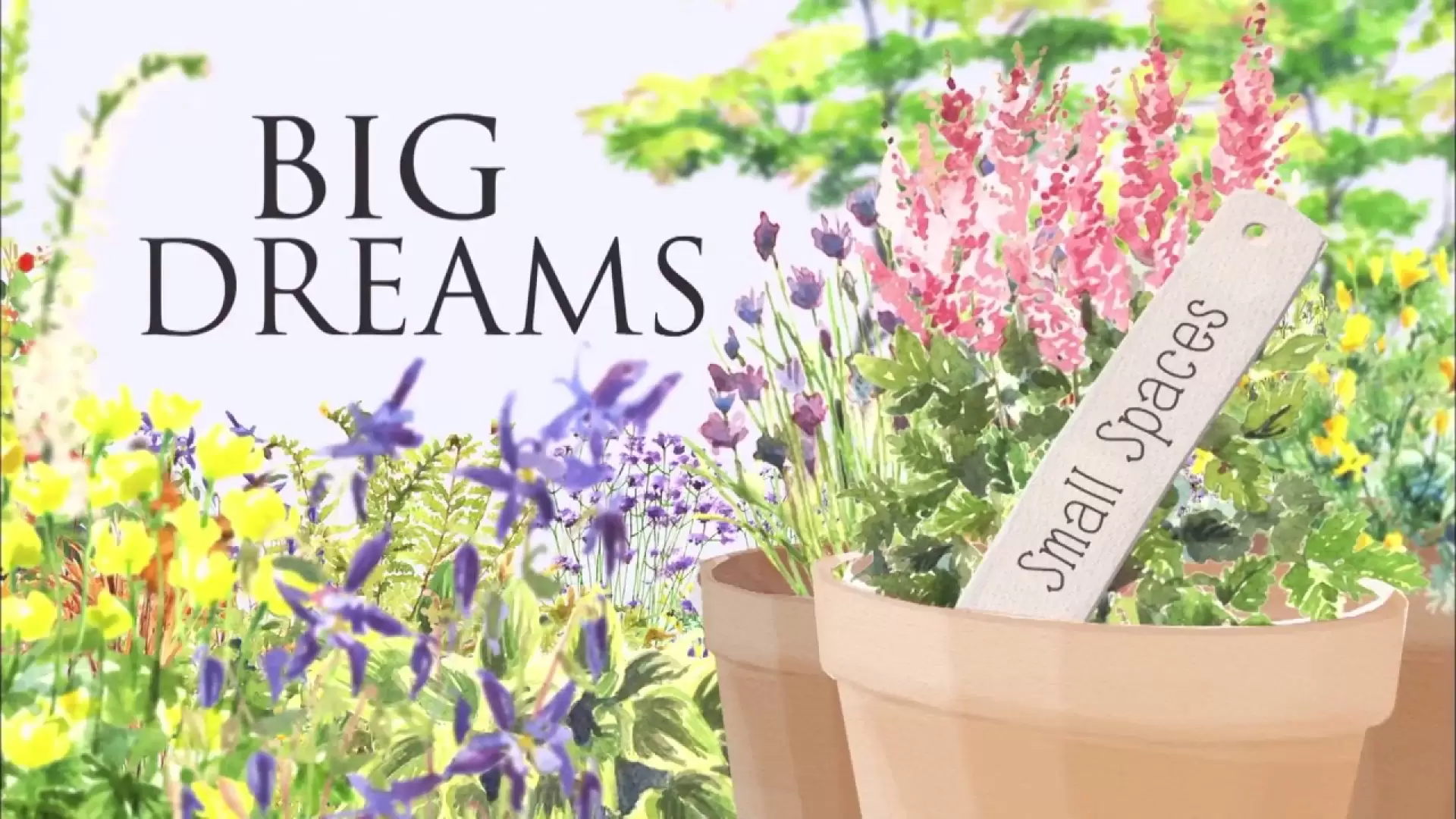 دانلود سریال Big Dreams, Small Spaces 2014 (رویاهای بزرگ, فضاهای کوچک)