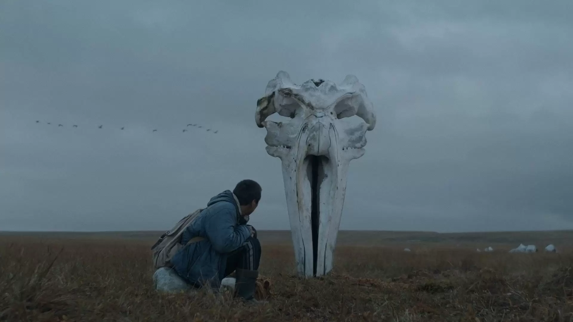 دانلود فیلم The Whaler Boy 2020