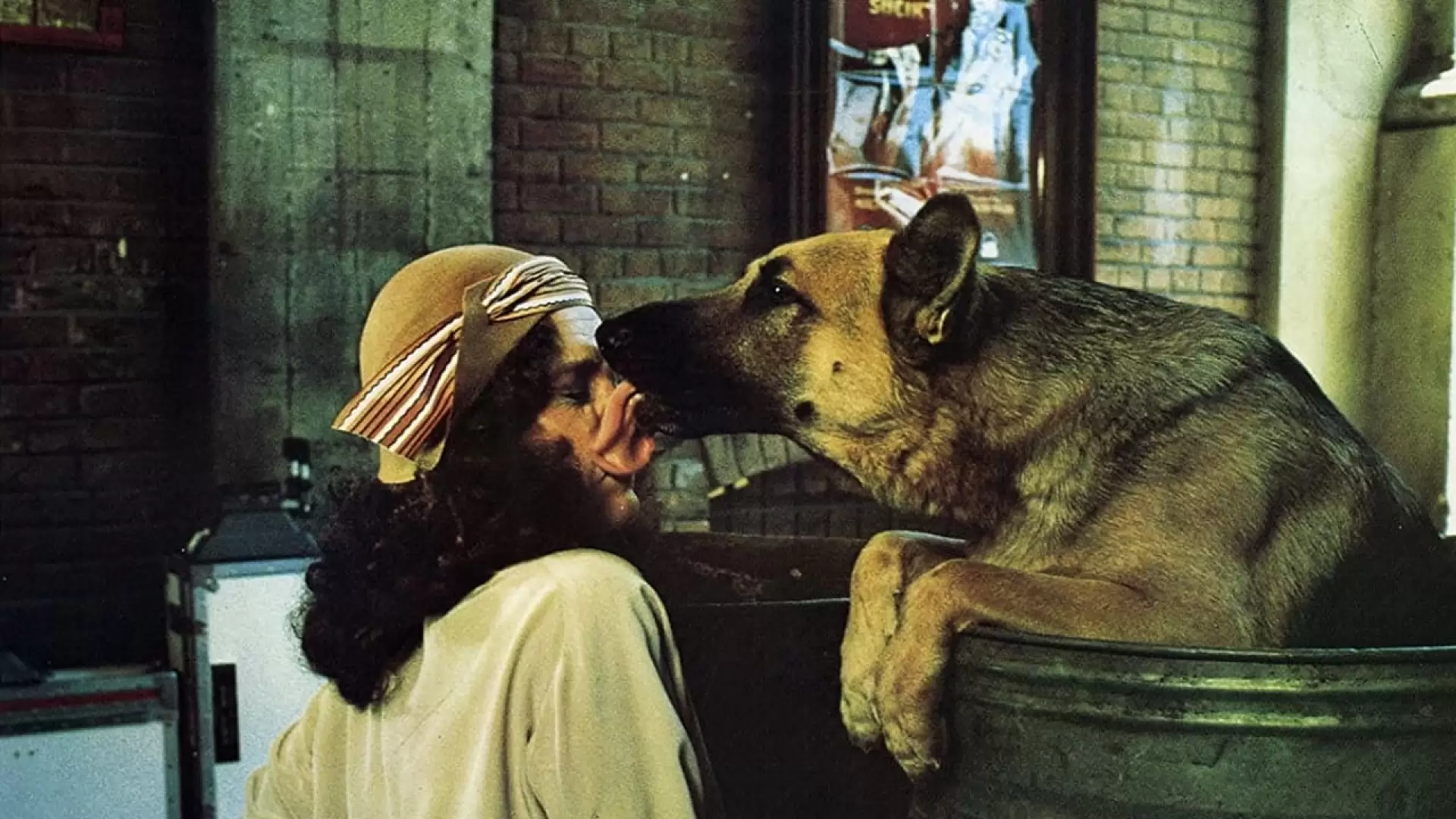 دانلود فیلم Won Ton Ton: The Dog Who Saved Hollywood 1976