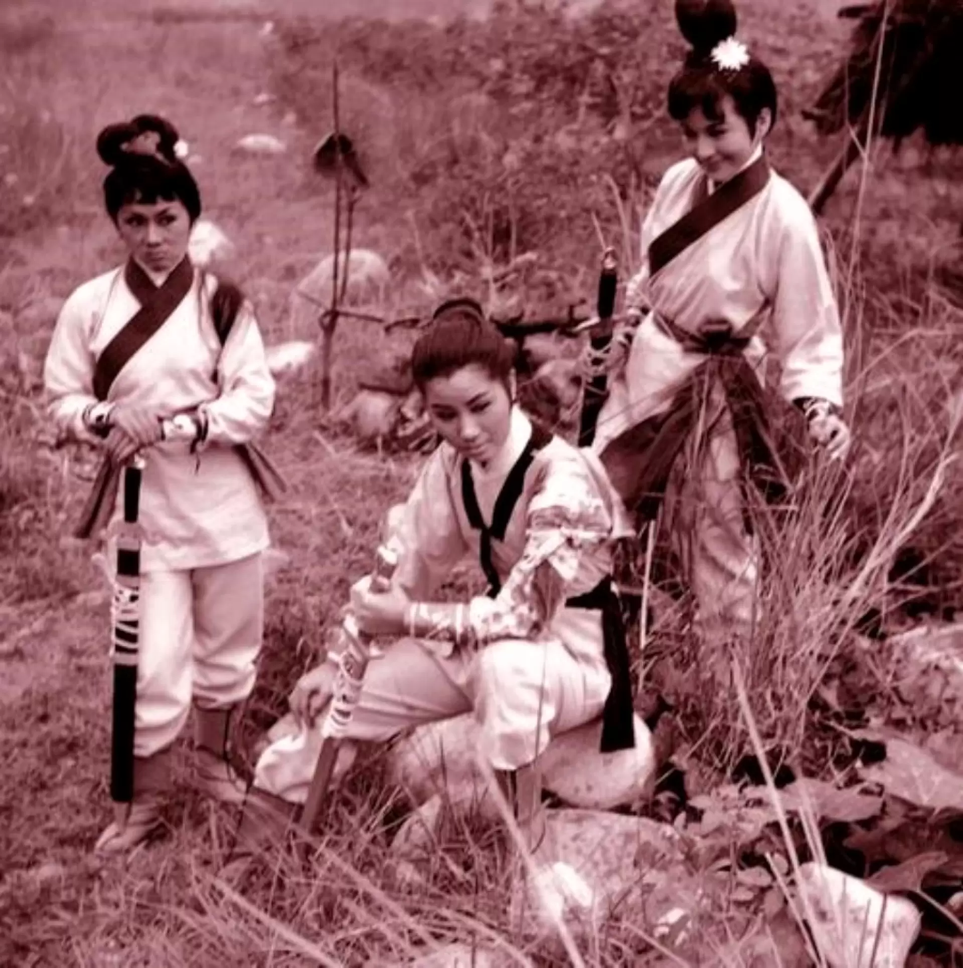 دانلود فیلم San feng zhen wu lin 1968