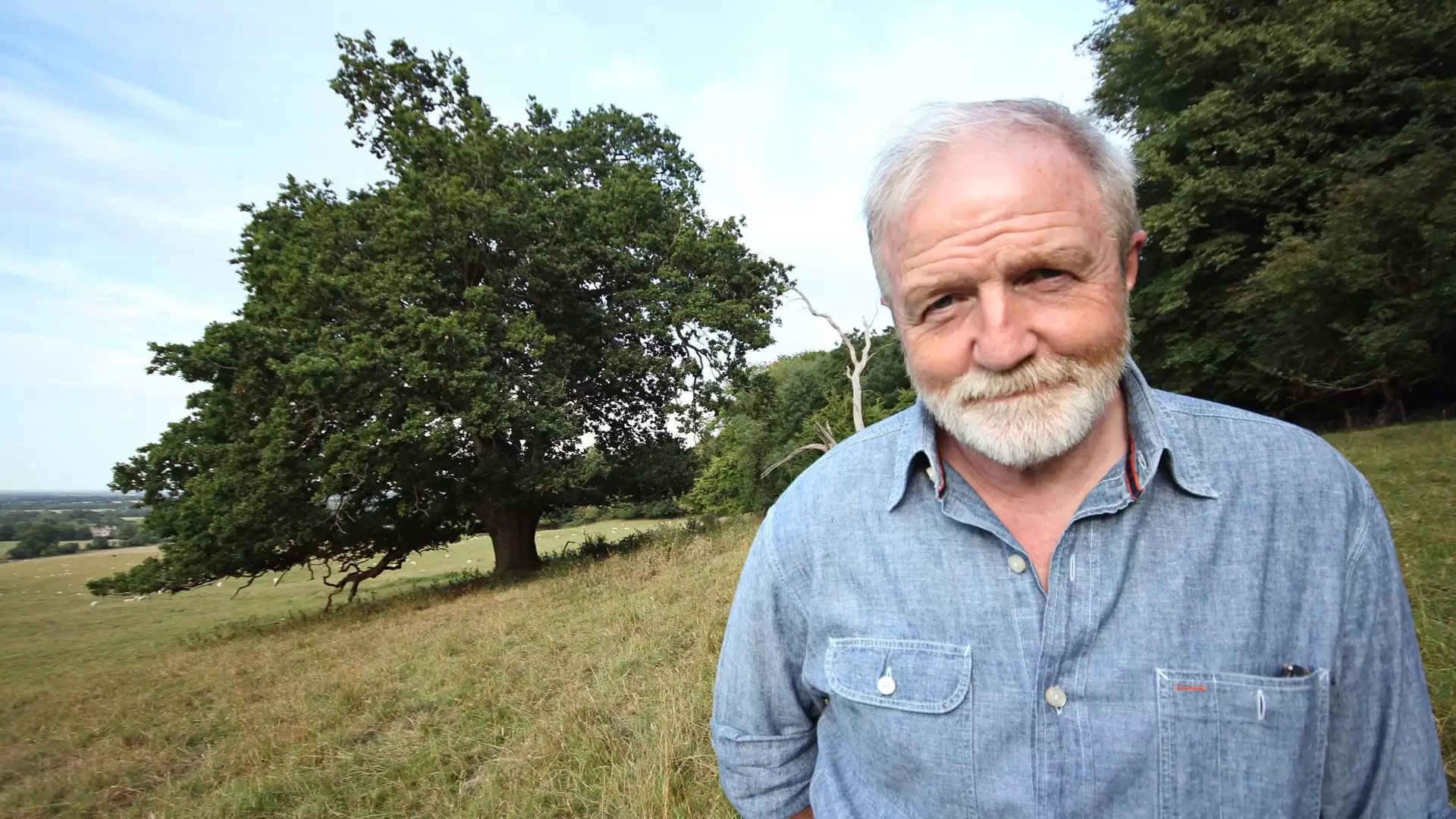 دانلود مستند Oak Tree: Nature’s Greatest Survivor 2015