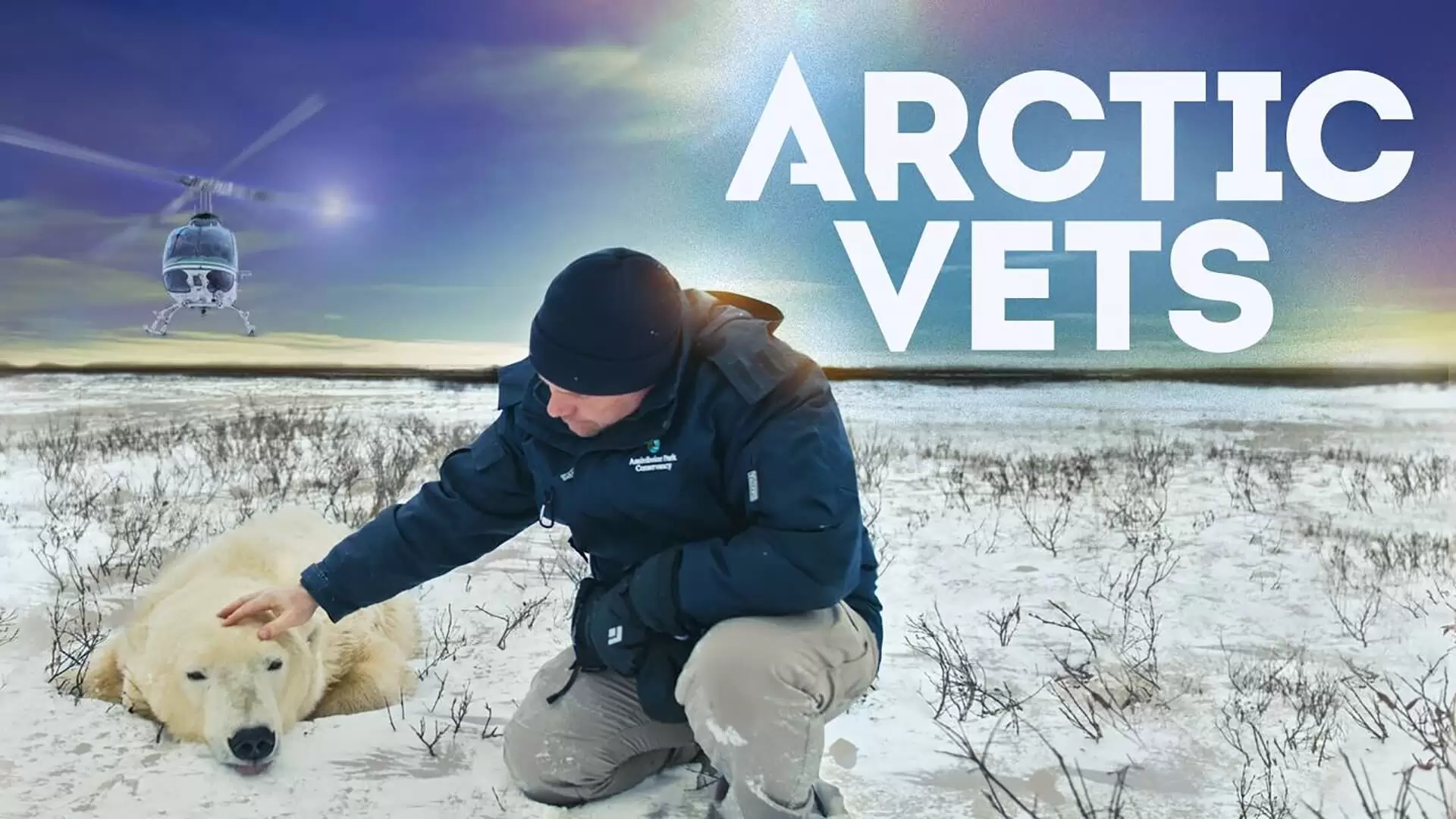 دانلود مستند Arctic Vets 2021