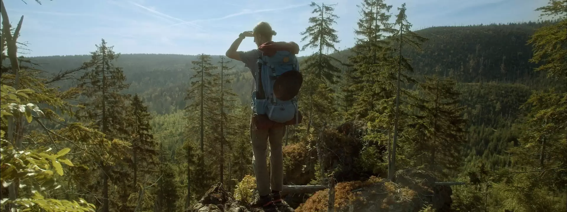 دانلود مستند Der Wilde Wald 2021