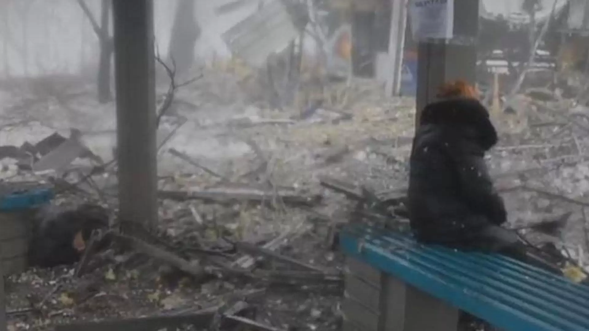 دانلود مستند Donbass 2016