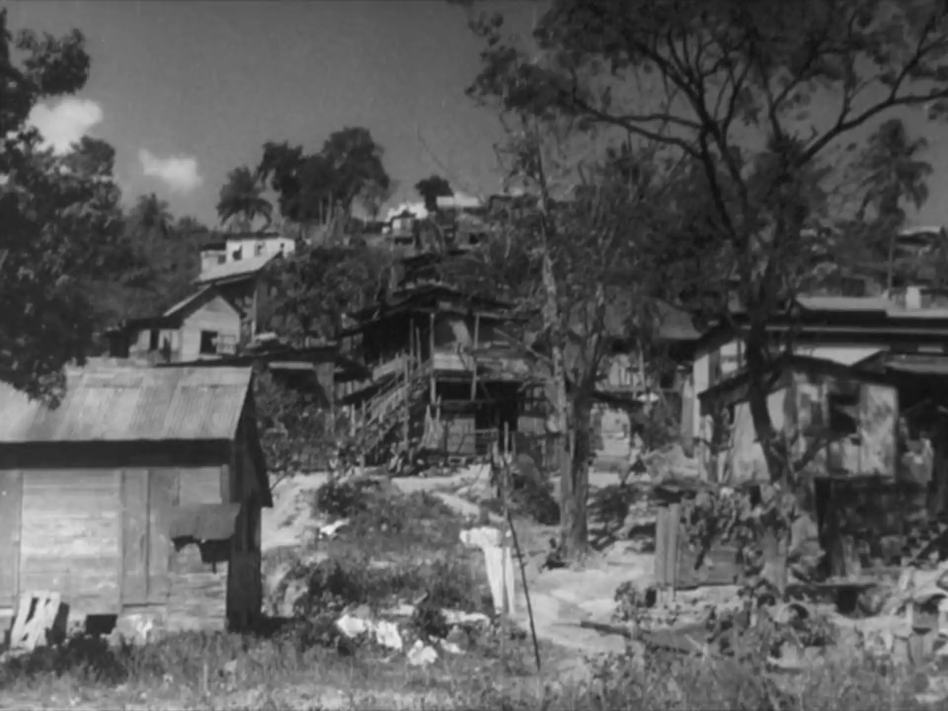 دانلود مستند Caribbean 1951