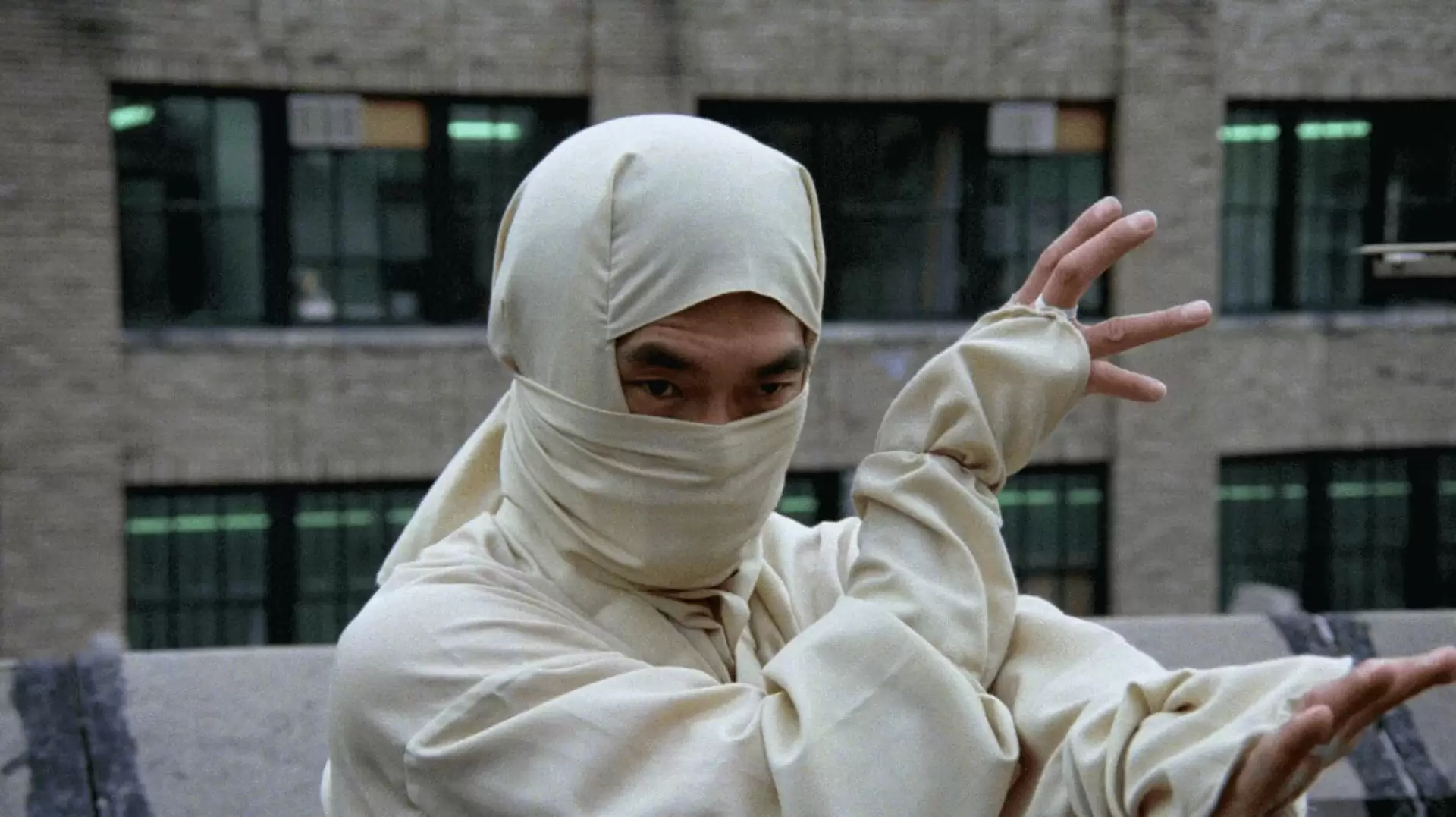دانلود مستند Re-Enter the New York Ninja 2021