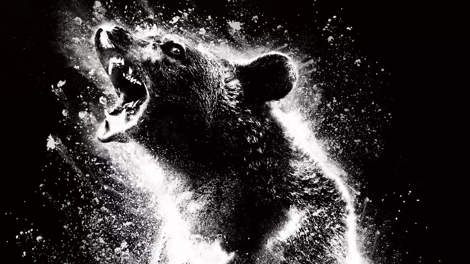 دانلود فیلم Cocaine Bear 2023 با زیرنویس فارسی و تماشای آنلاین