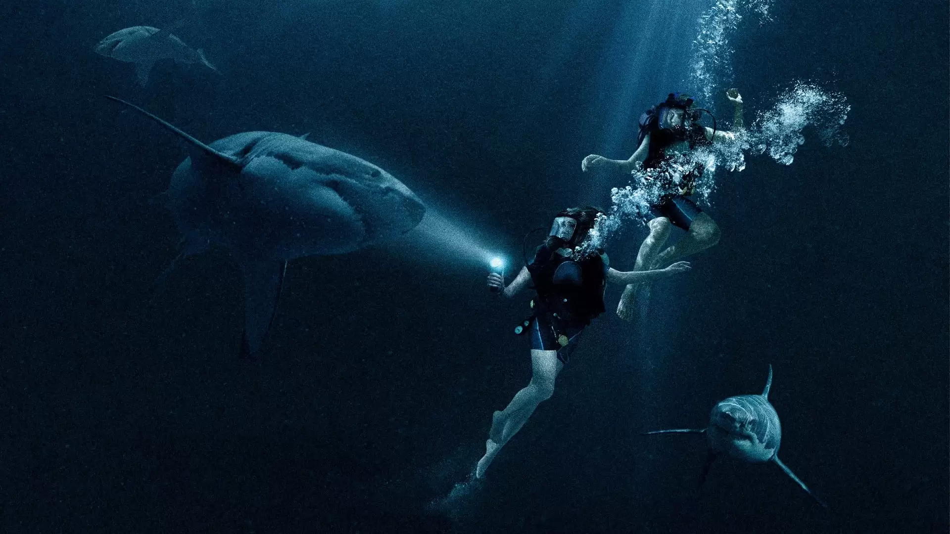 دانلود فیلم In the Deep (47 Meters Down) 2016 با زیرنویس فارسی