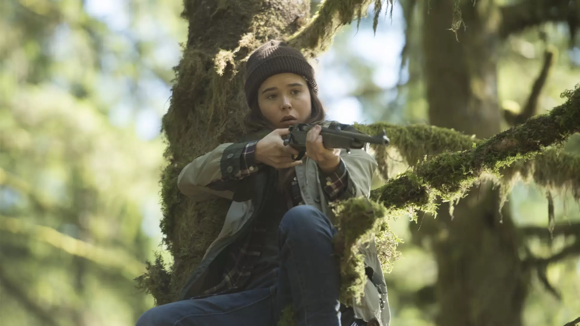 دانلود فیلم Into the Forest 2015 (درون جنگل) با زیرنویس فارسی